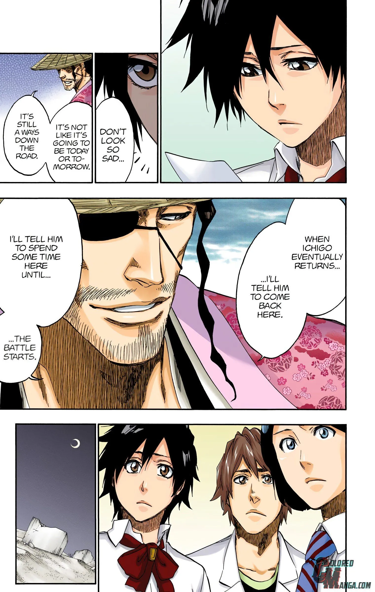 Read Bleach (Colored) EN Manga Online