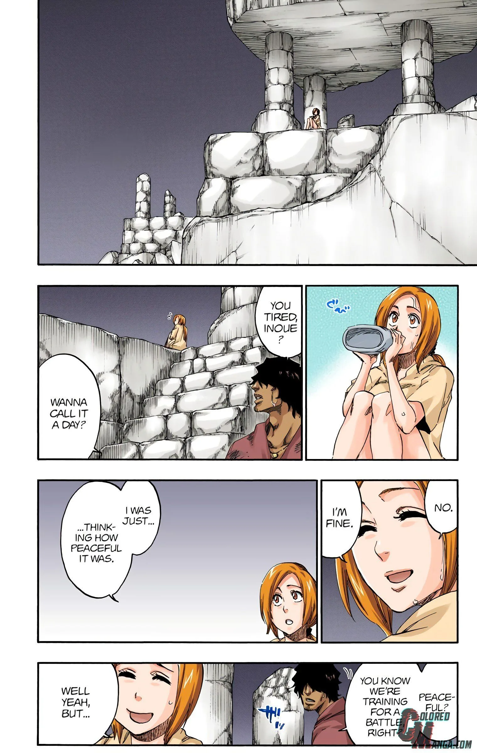 Read Bleach (Colored) EN Manga Online