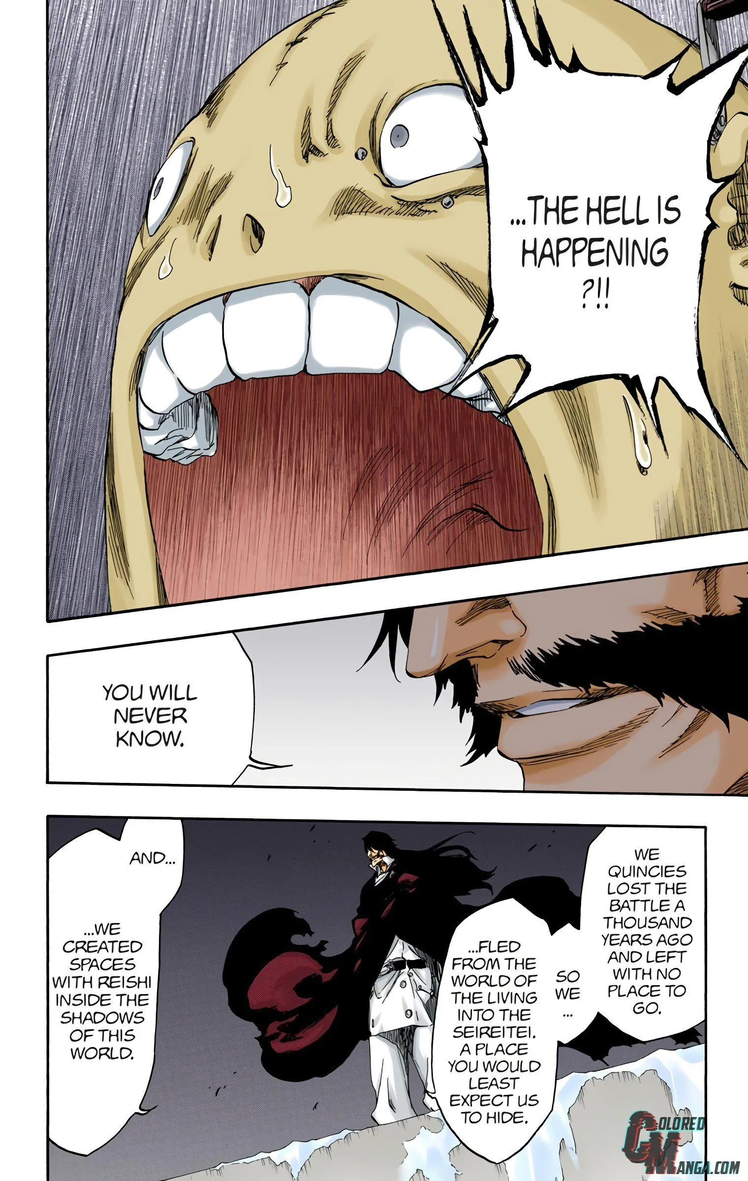 Read Bleach (Colored) EN Manga Online