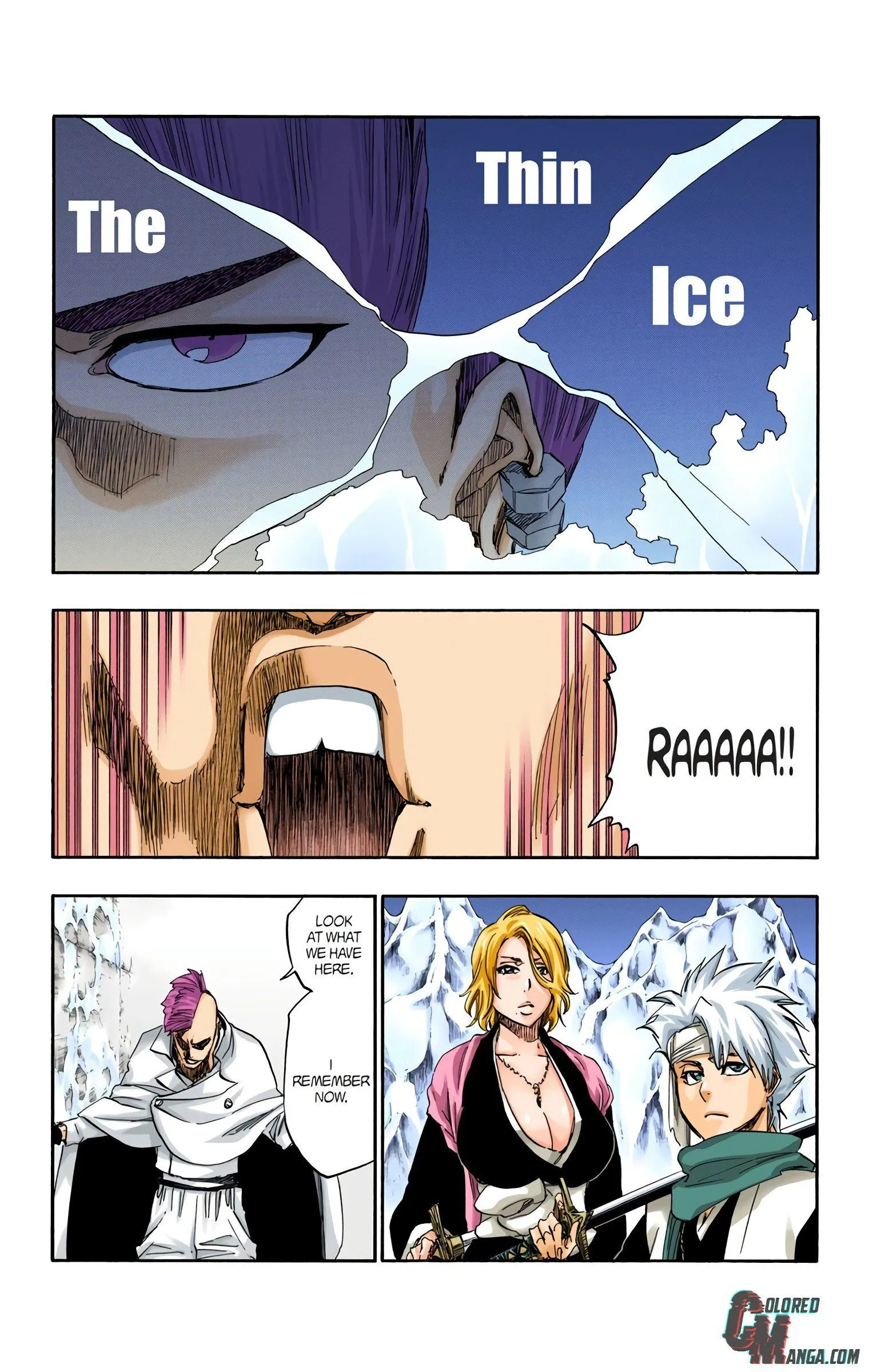Read Bleach (Colored) EN Manga Online