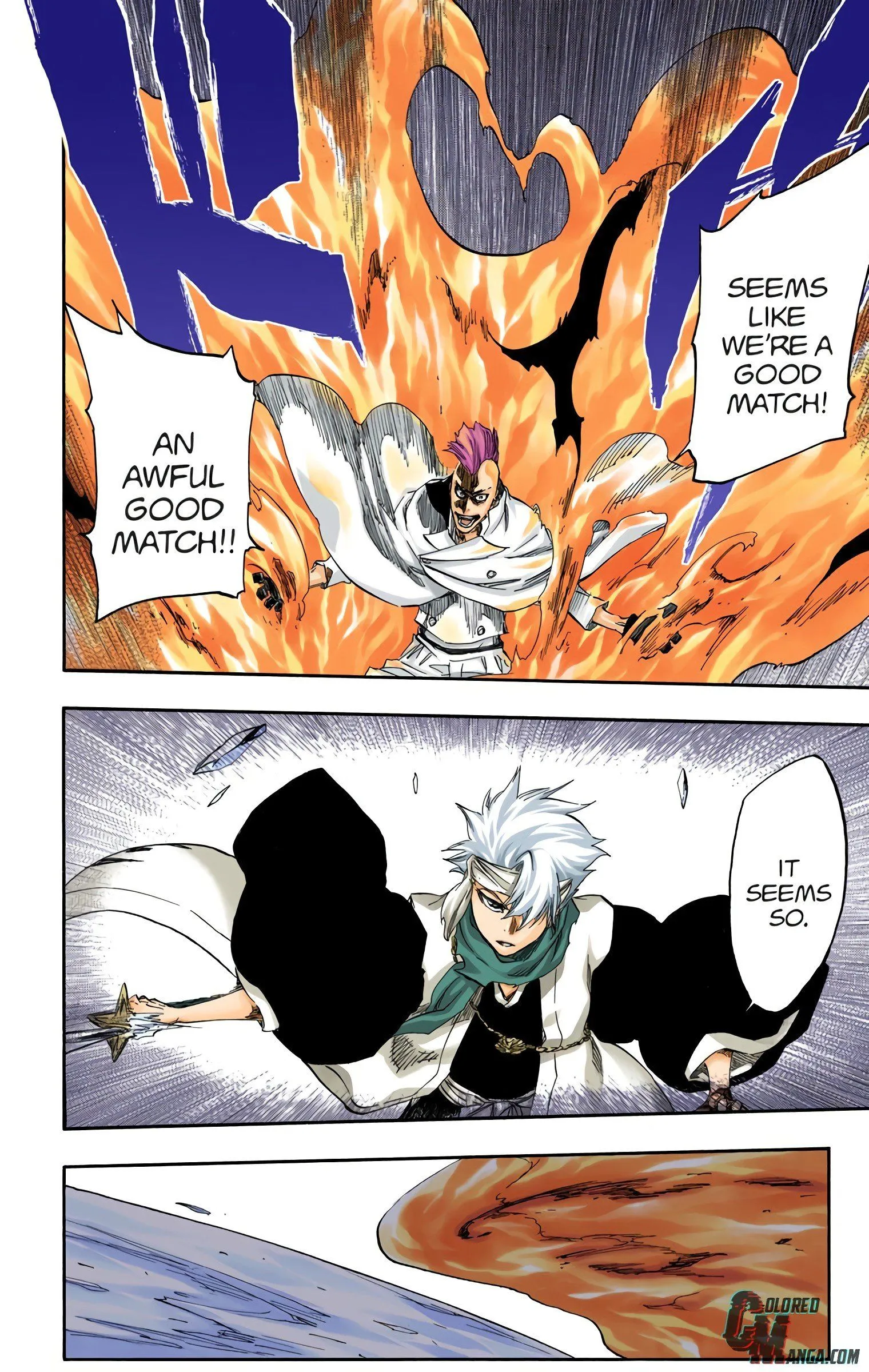 Read Bleach (Colored) EN Manga Online