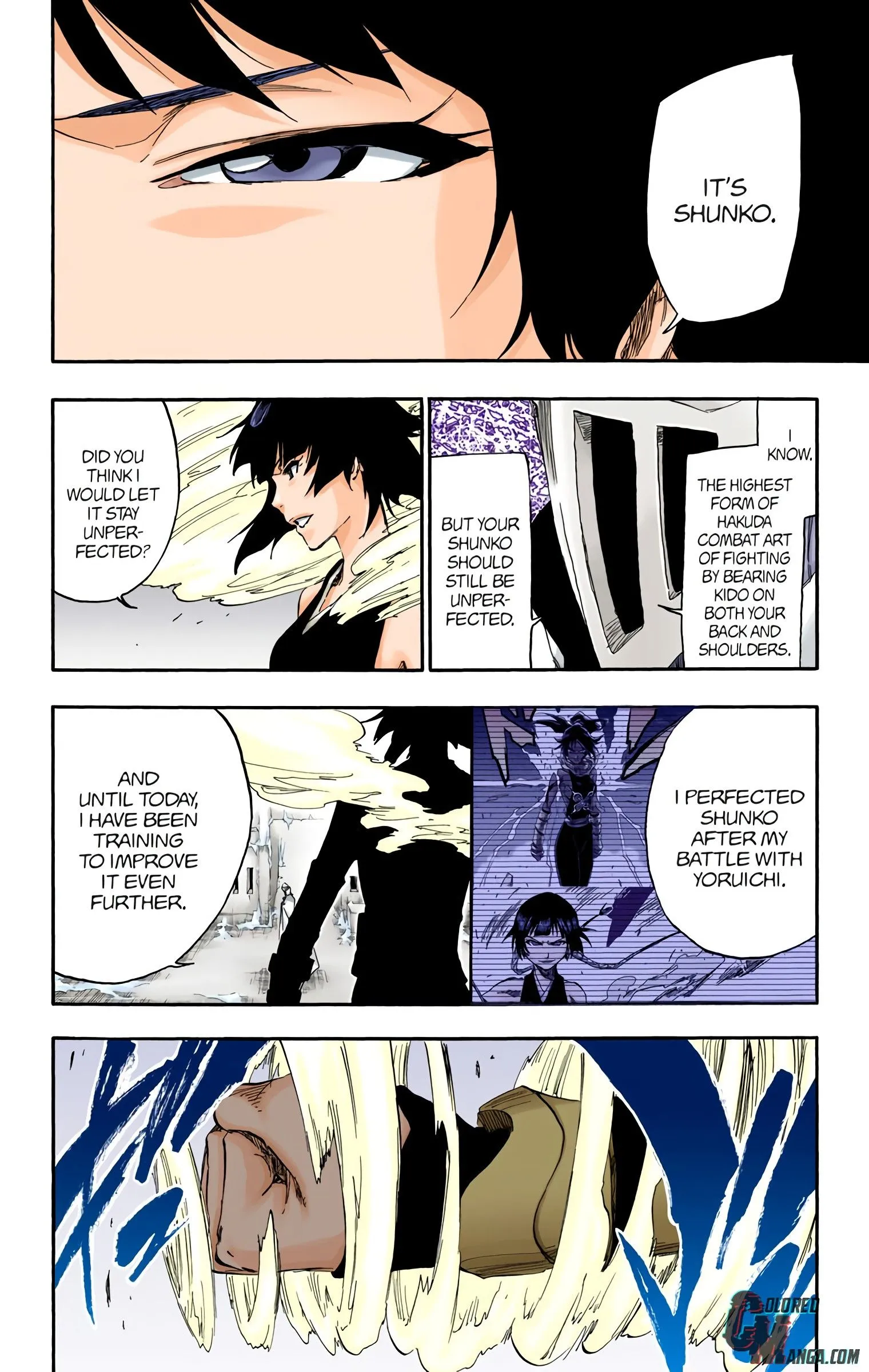 Read Bleach (Colored) EN Manga Online