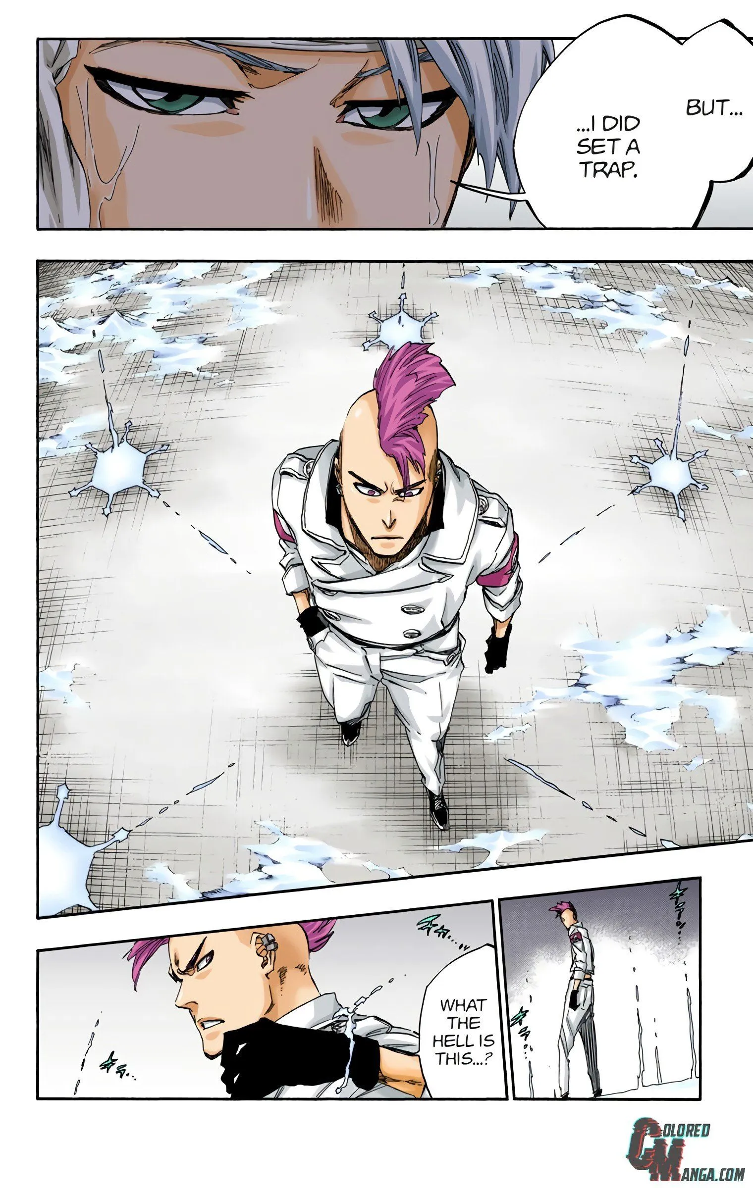 Read Bleach (Colored) EN Manga Online