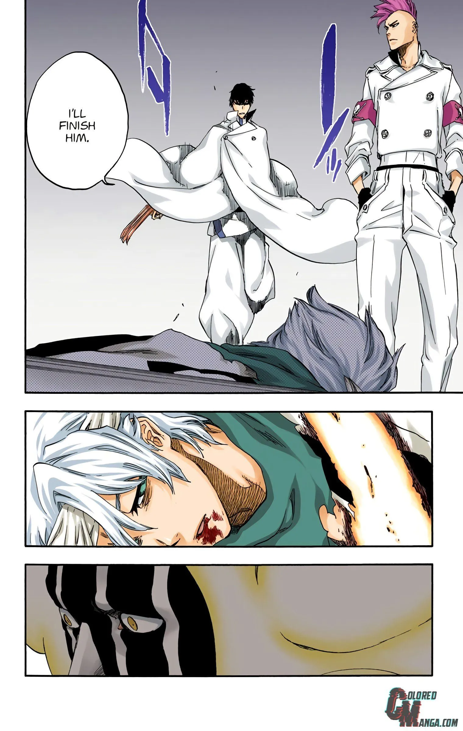 Read Bleach (Colored) EN Manga Online