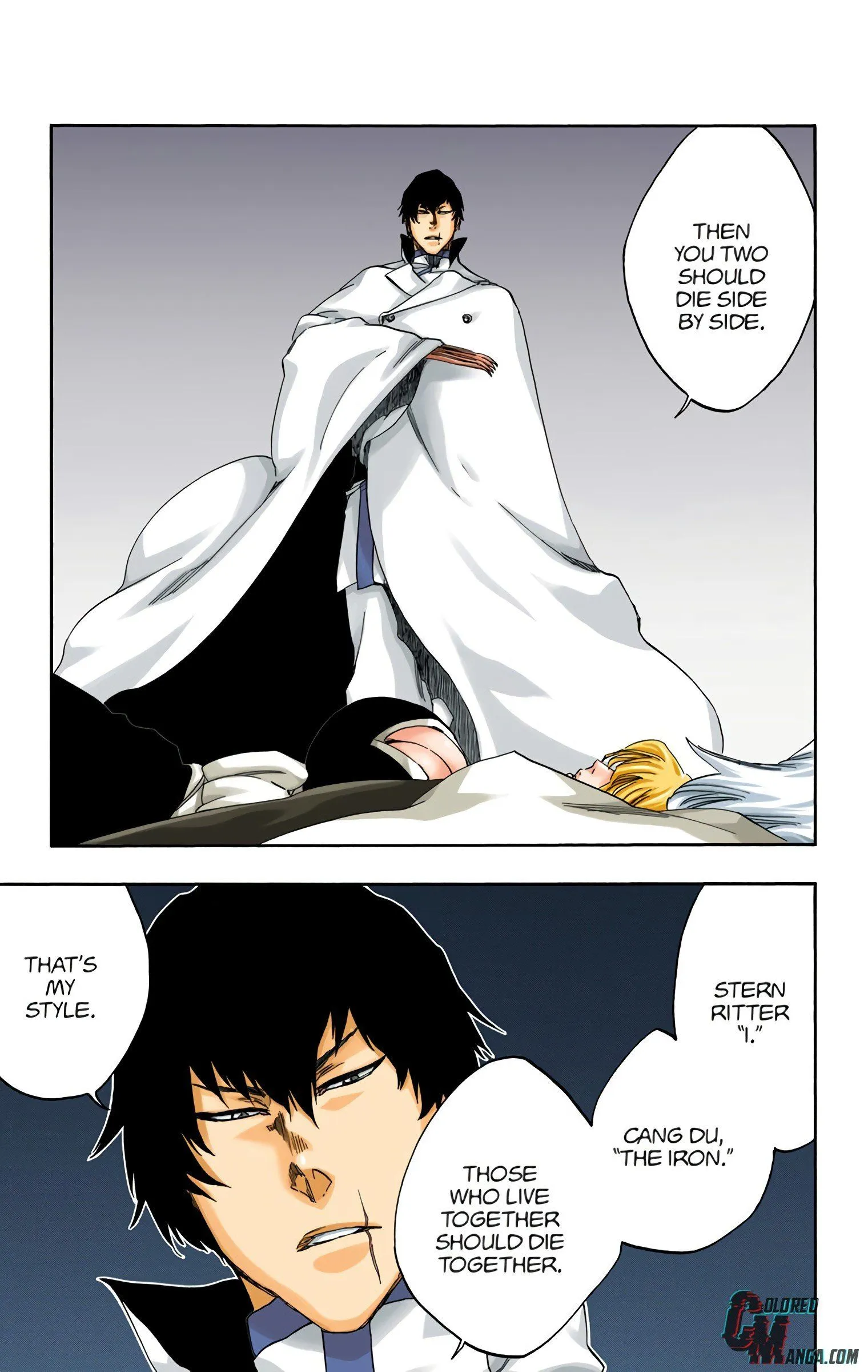 Read Bleach (Colored) EN Manga Online