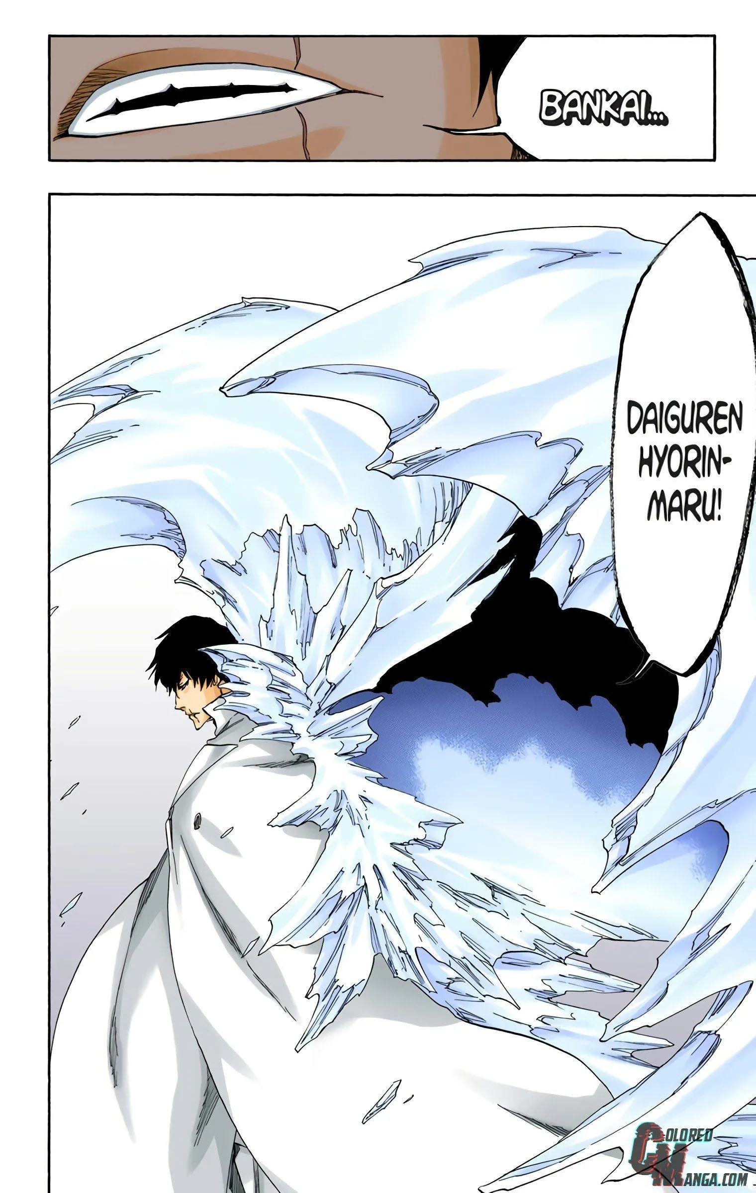 Read Bleach (Colored) EN Manga Online