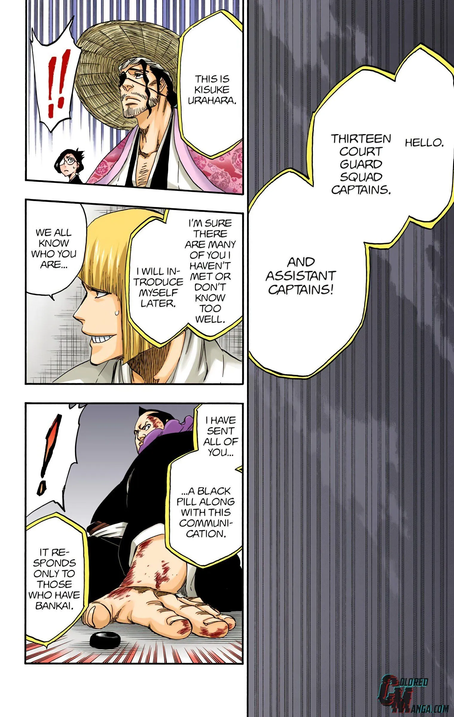 Read Bleach (Colored) EN Manga Online