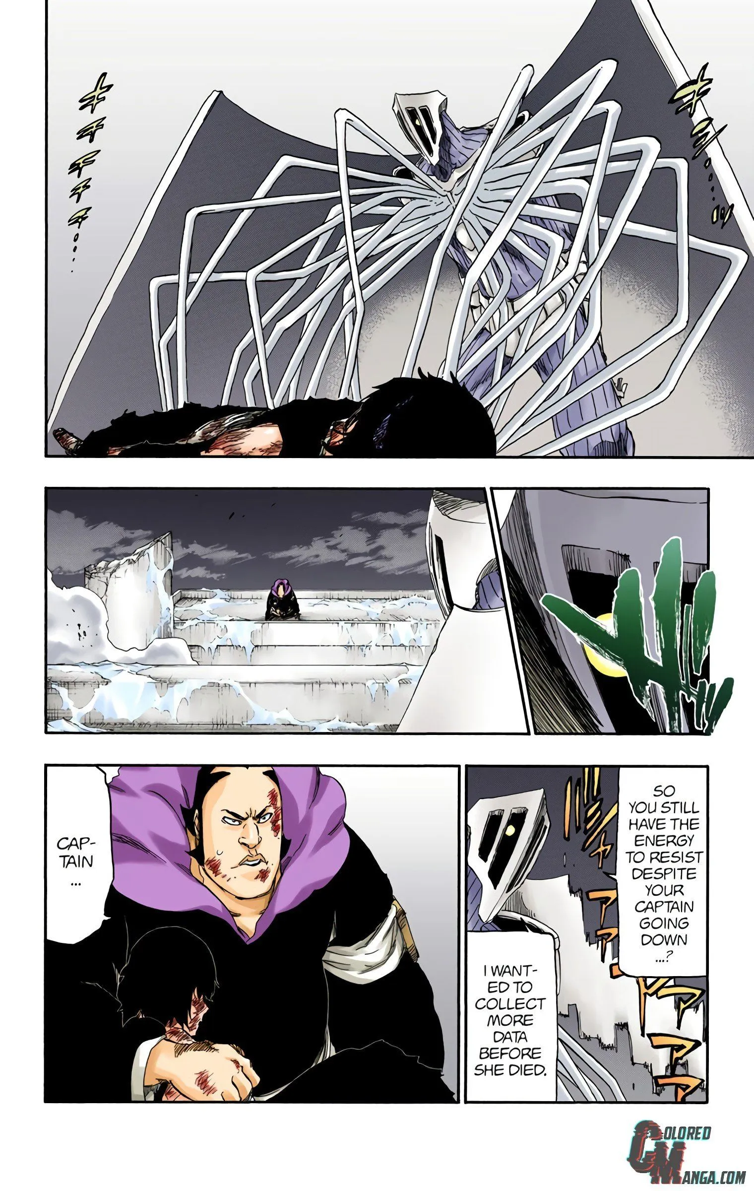 Read Bleach (Colored) EN Manga Online