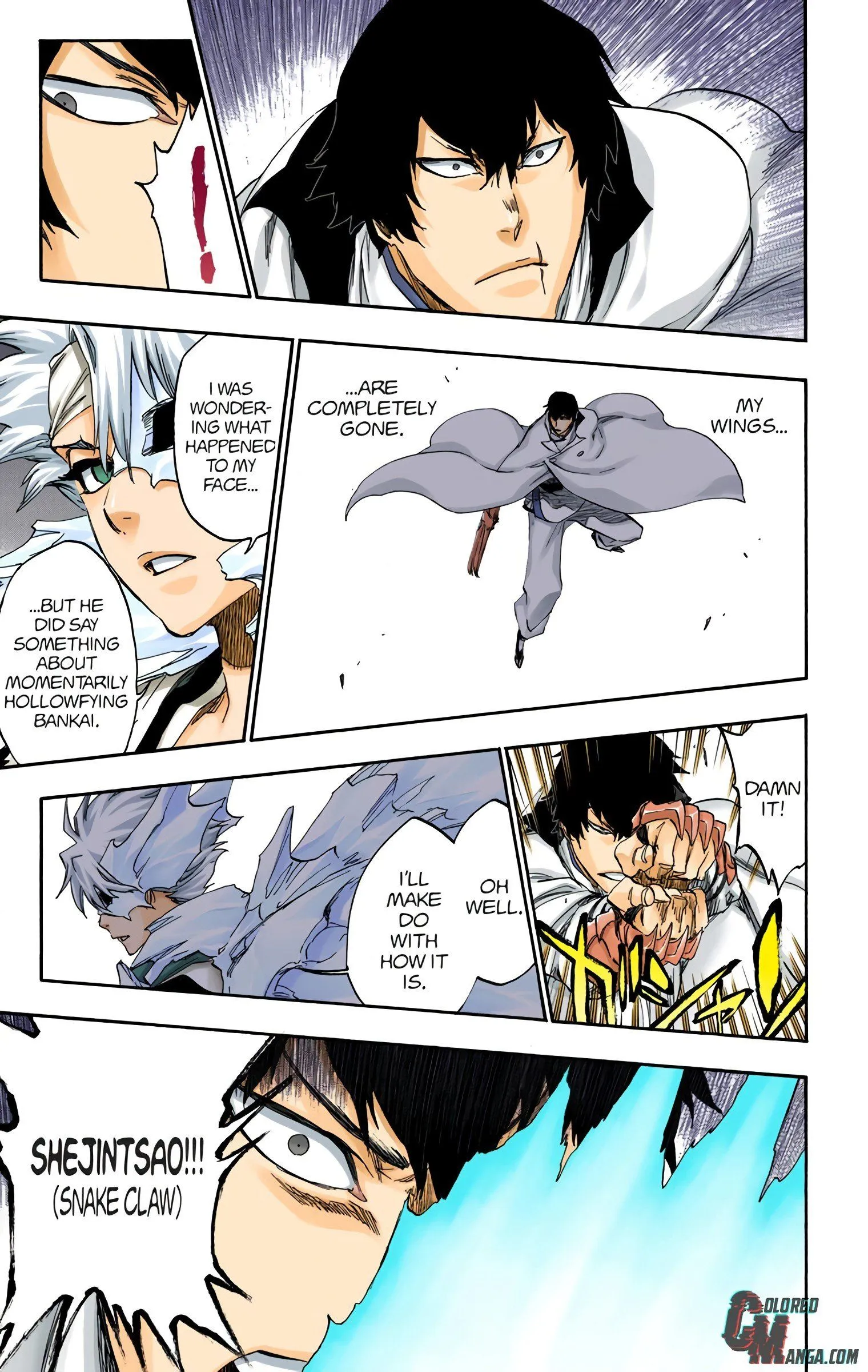 Read Bleach (Colored) EN Manga Online