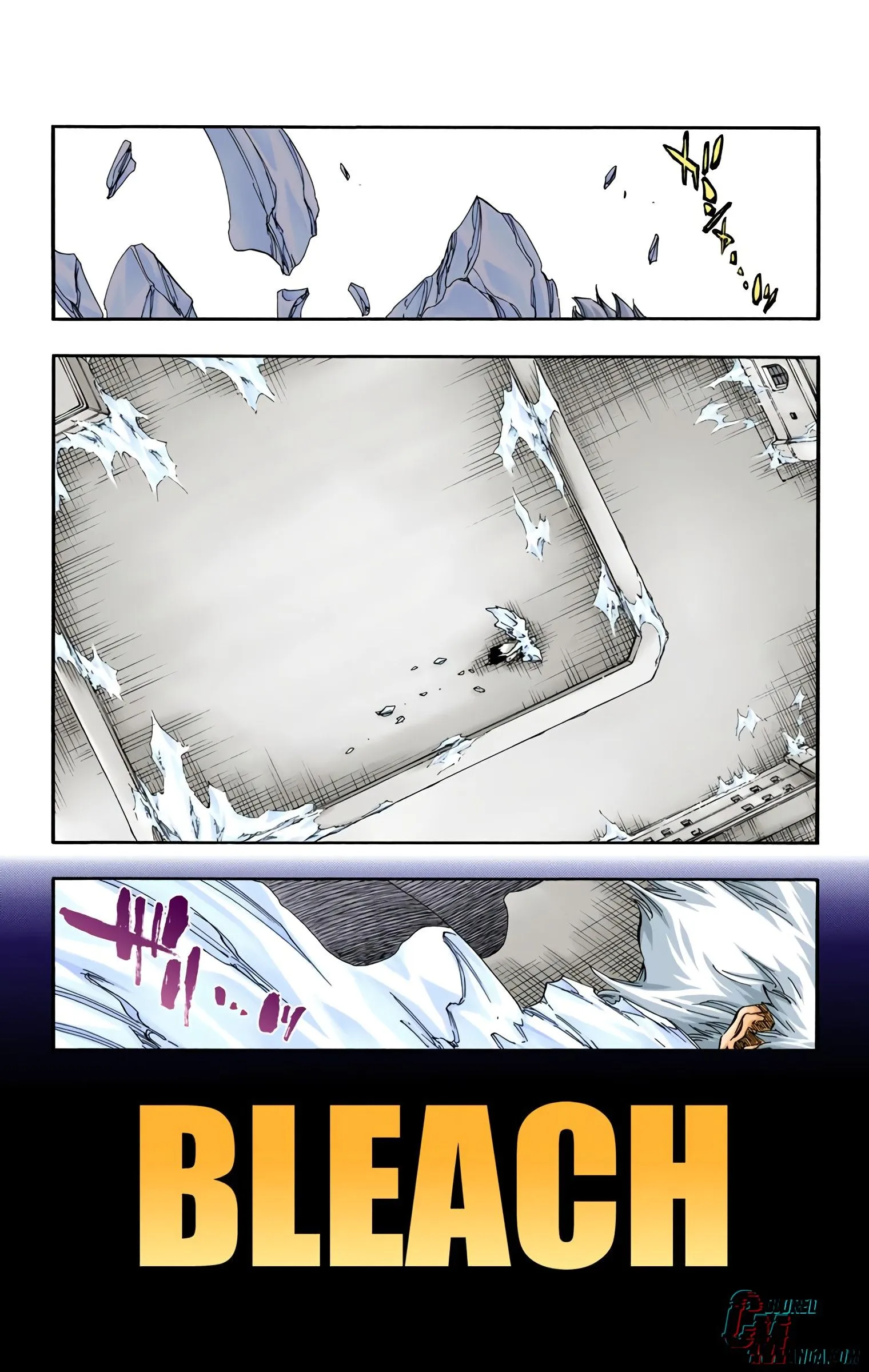 Read Bleach (Colored) EN Manga Online