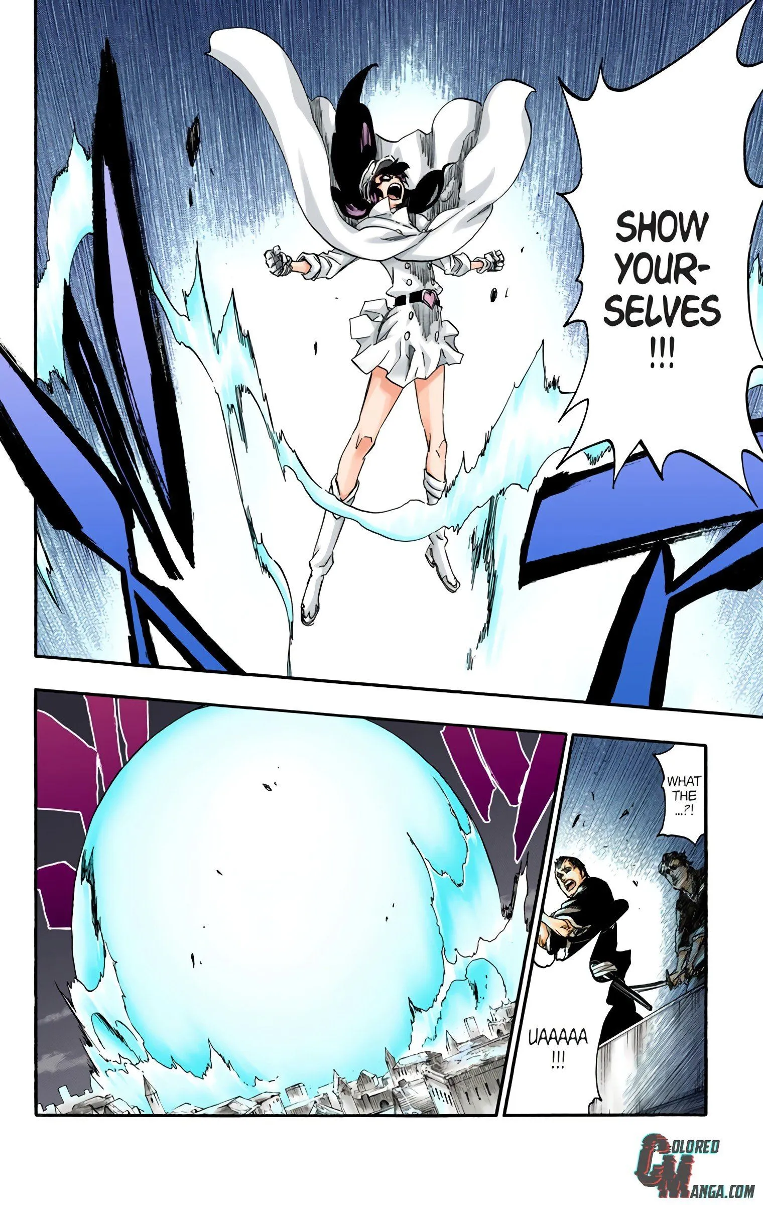 Read Bleach (Colored) EN Manga Online