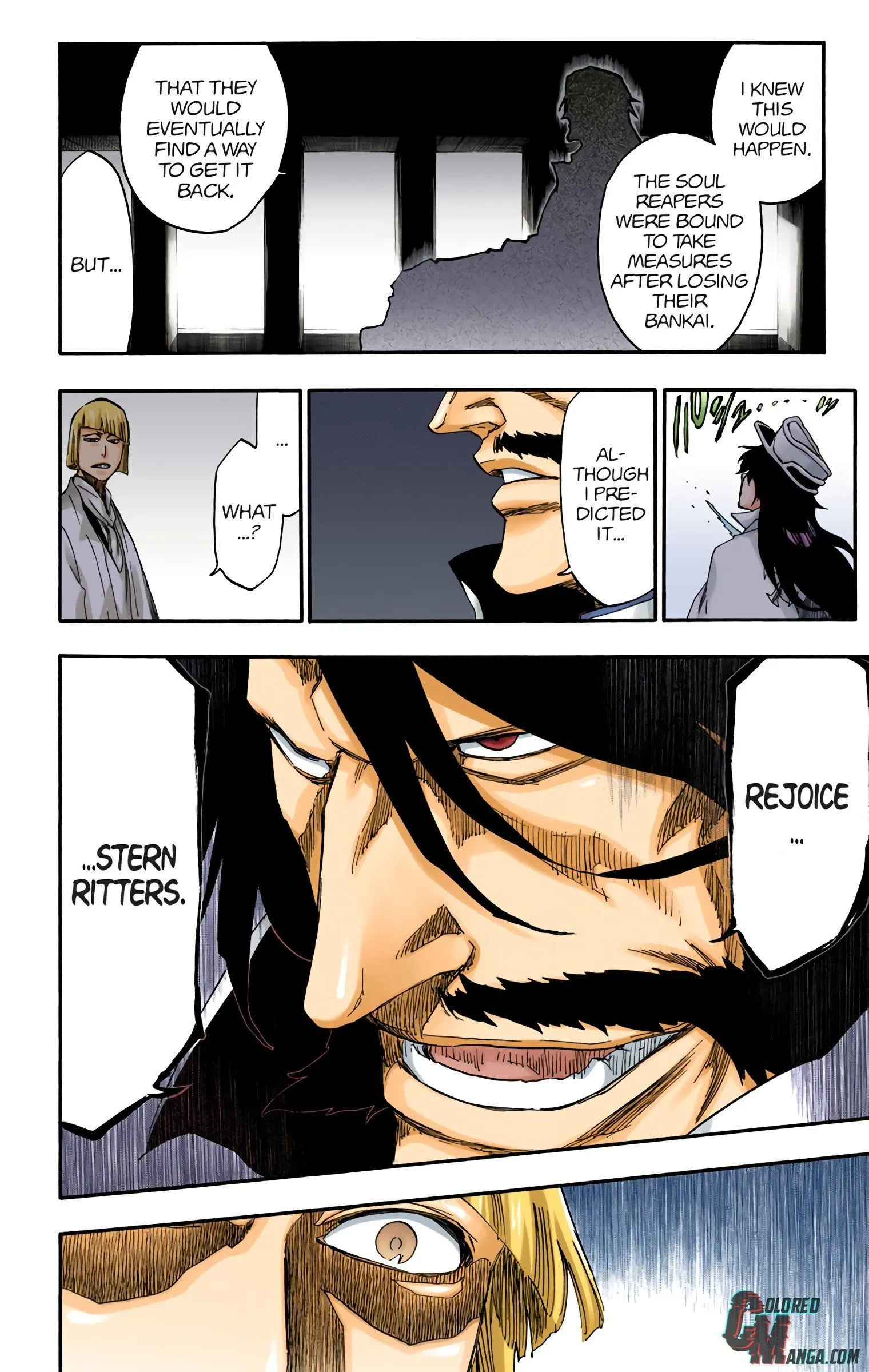 Read Bleach (Colored) EN Manga Online