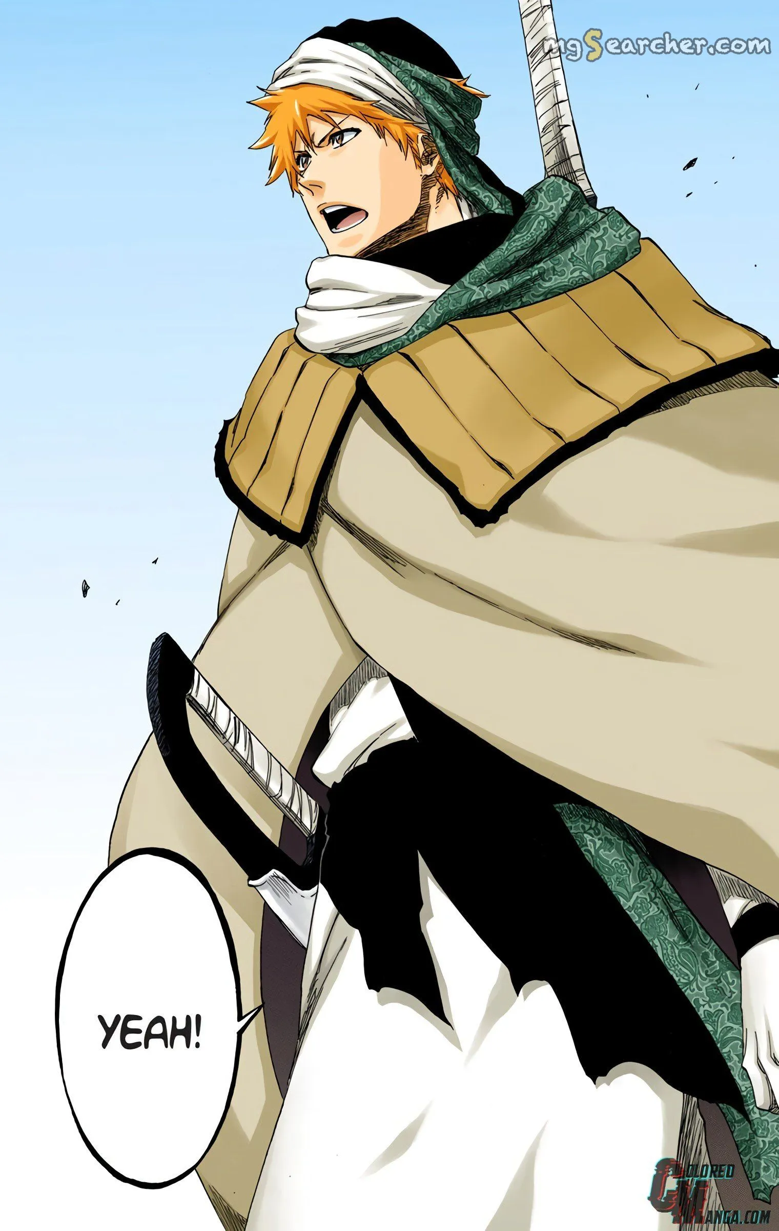 Read Bleach (Colored) EN Manga Online