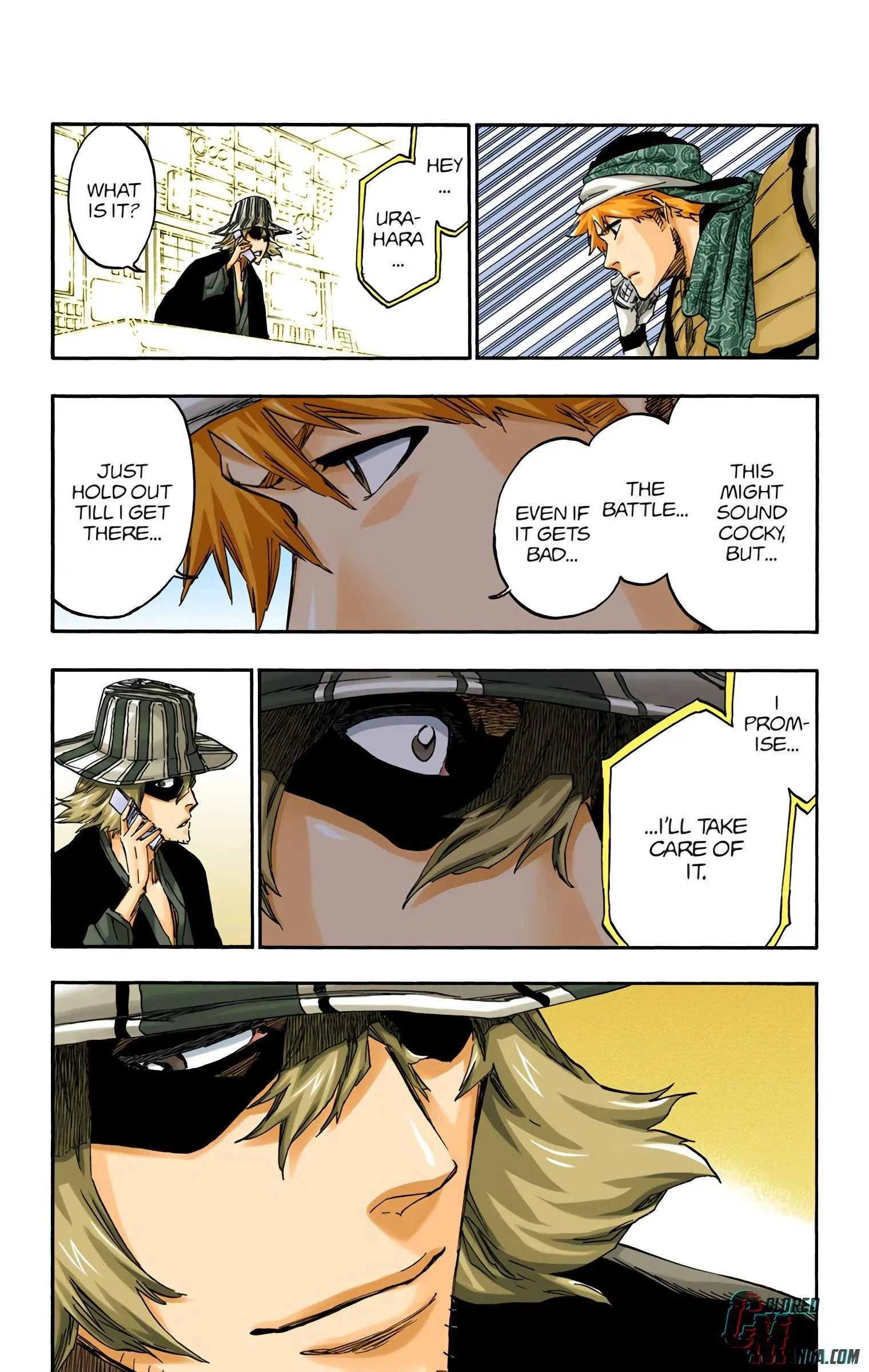 Read Bleach (Colored) EN Manga Online