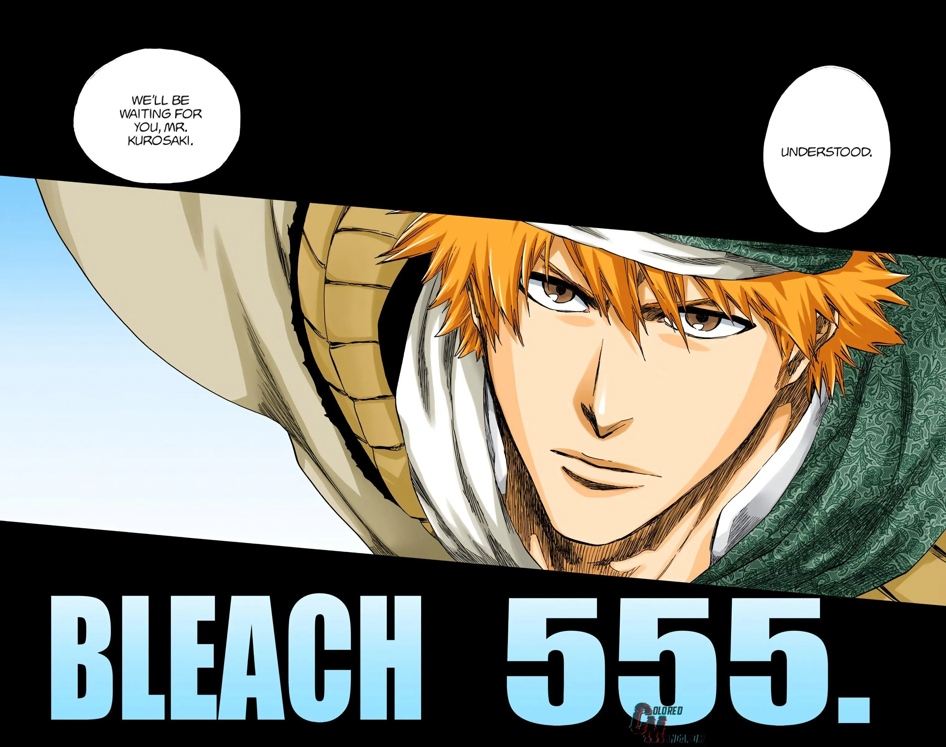 Read Bleach (Colored) EN Manga Online