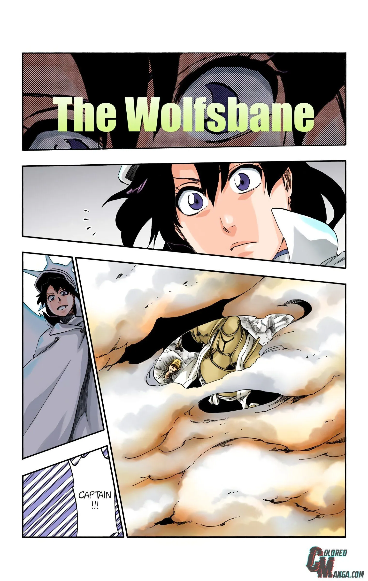 Read Bleach (Colored) EN Manga Online