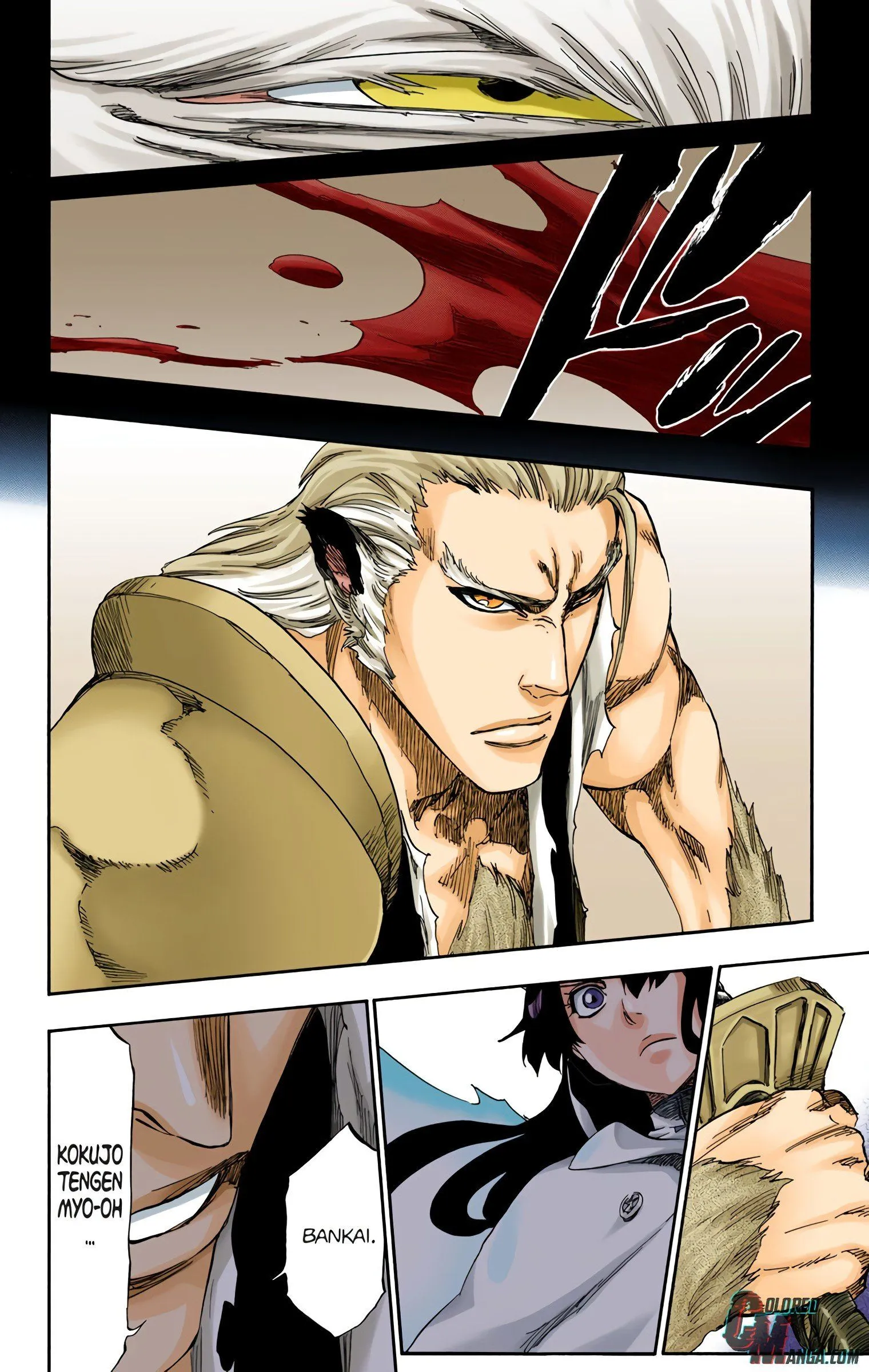 Read Bleach (Colored) EN Manga Online