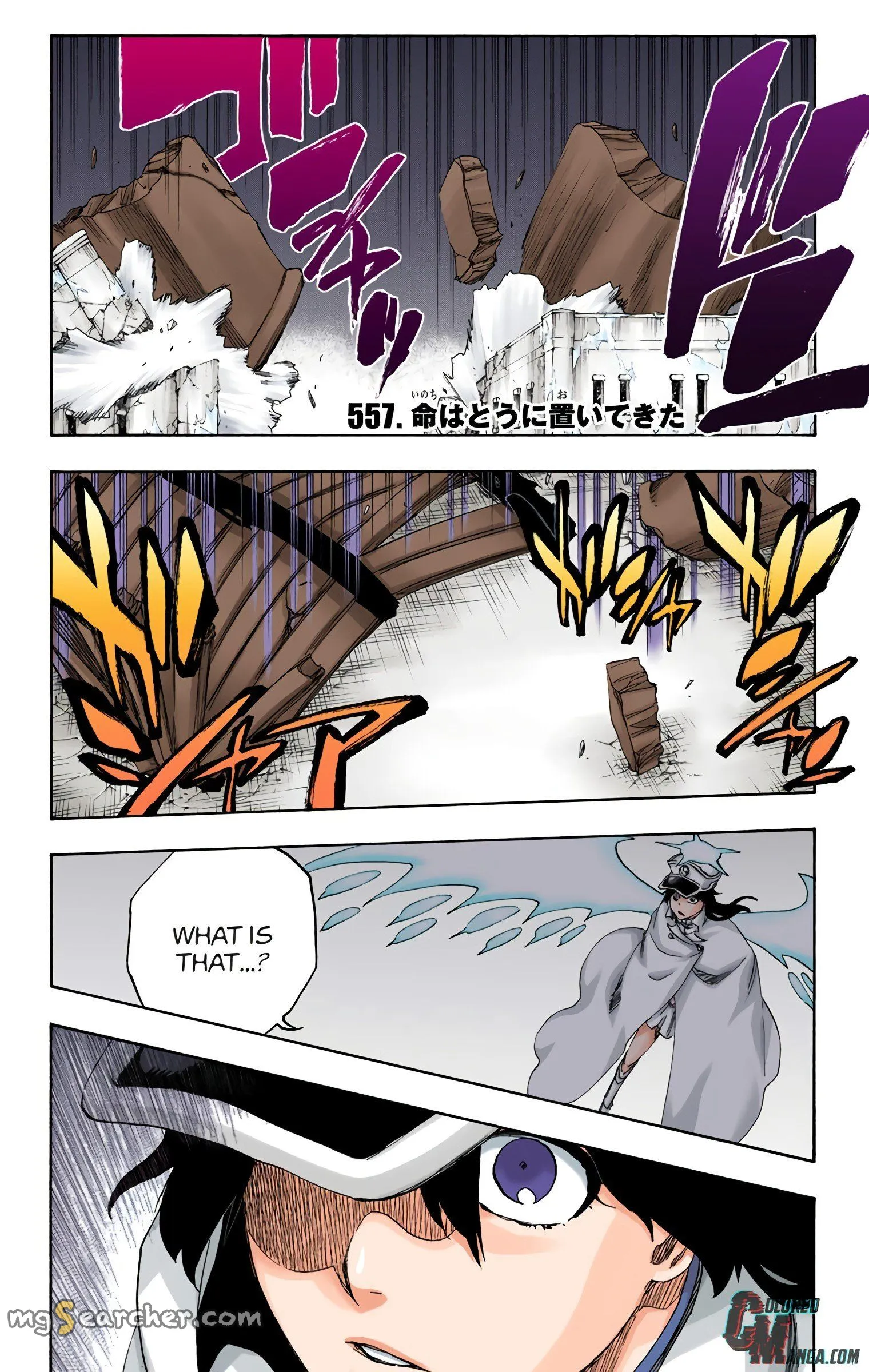 Read Bleach (Colored) EN Manga Online