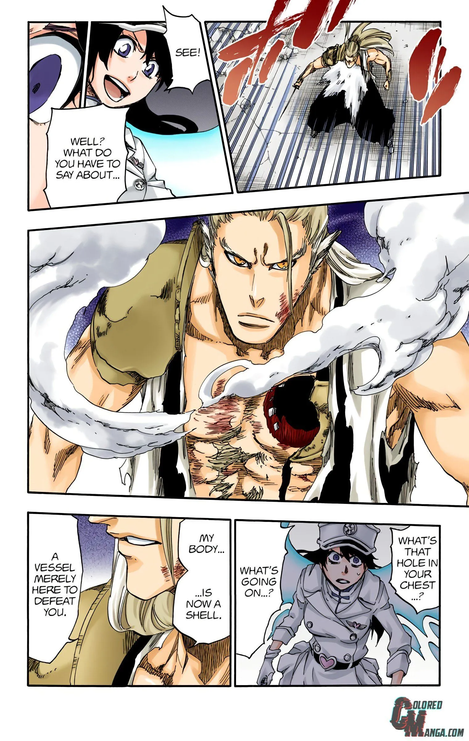 Read Bleach (Colored) EN Manga Online