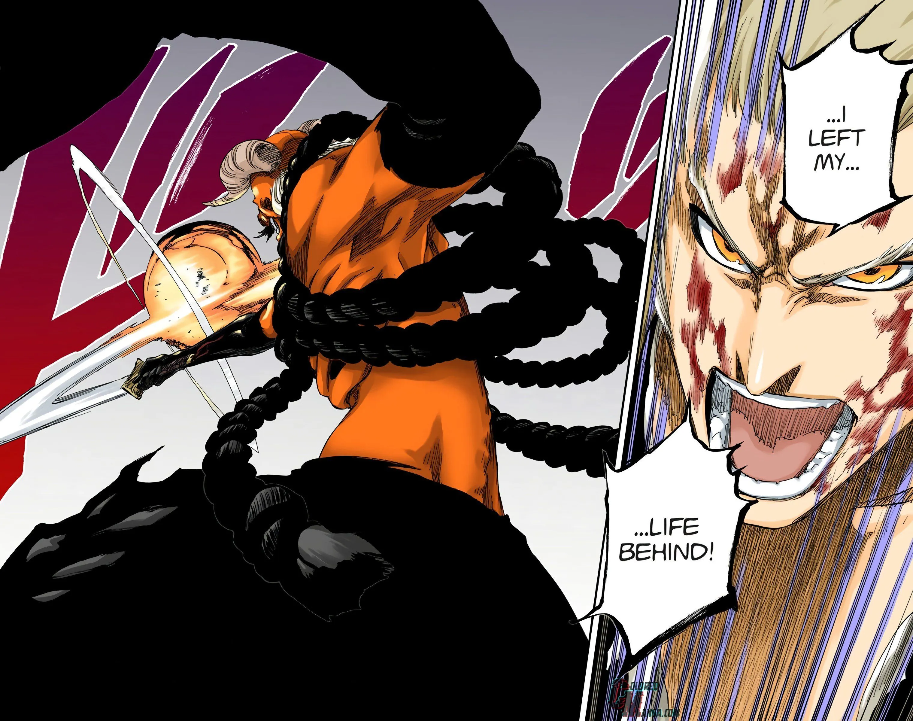Read Bleach (Colored) EN Manga Online