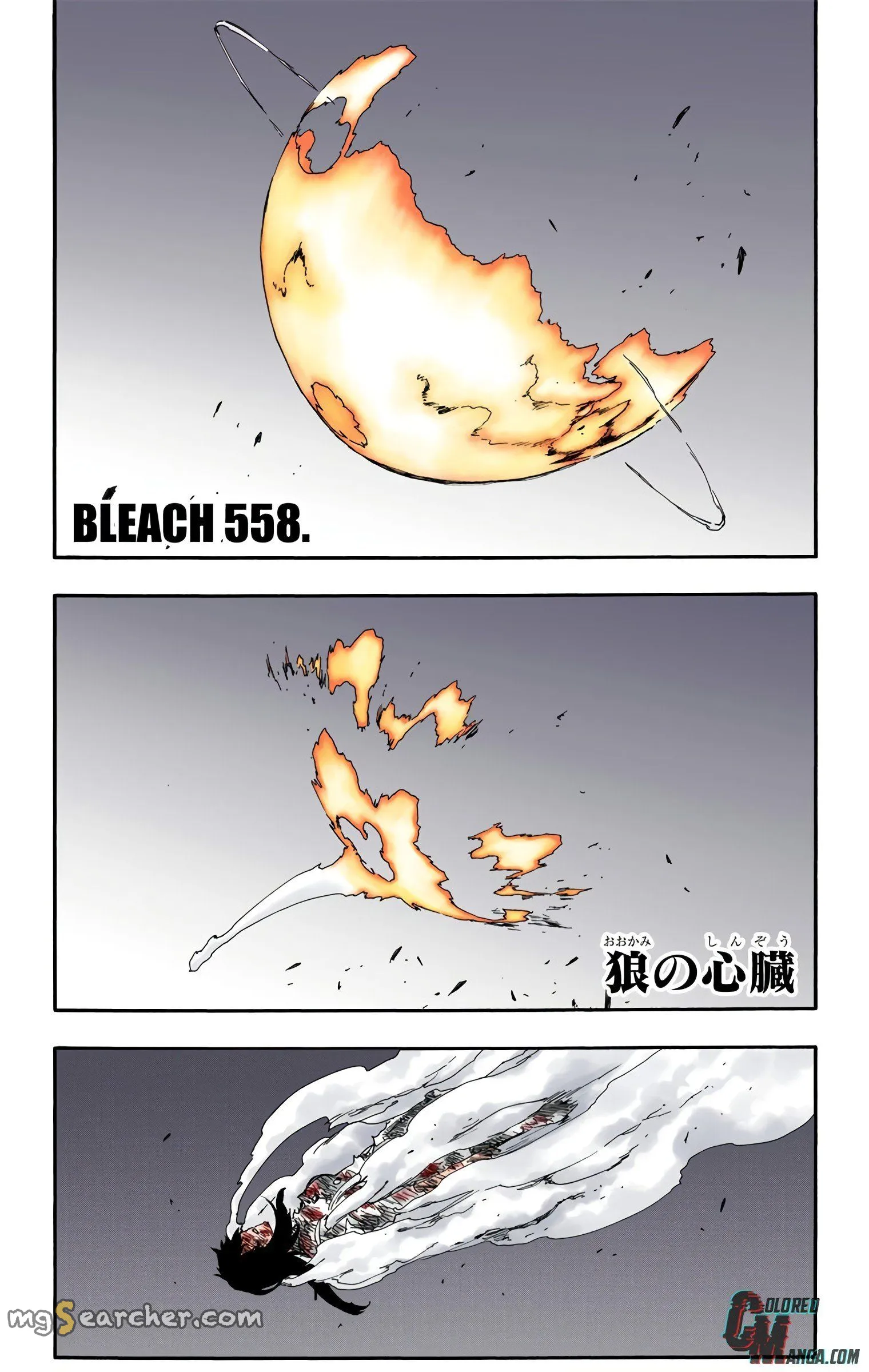 Read Bleach (Colored) EN Manga Online