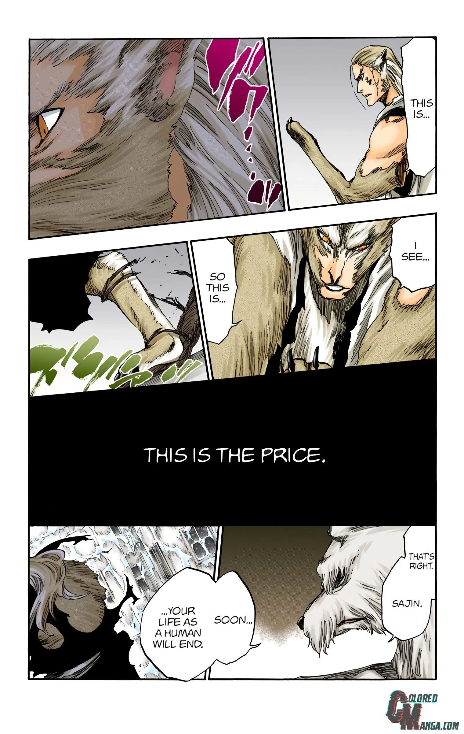 Read Bleach (Colored) EN Manga Online