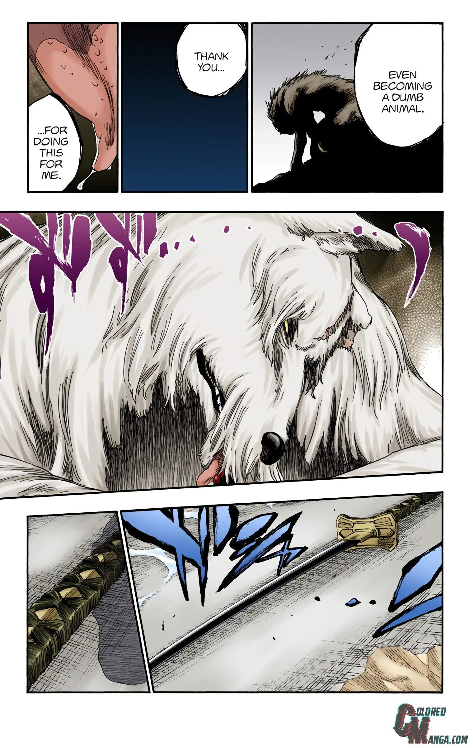 Read Bleach (Colored) EN Manga Online