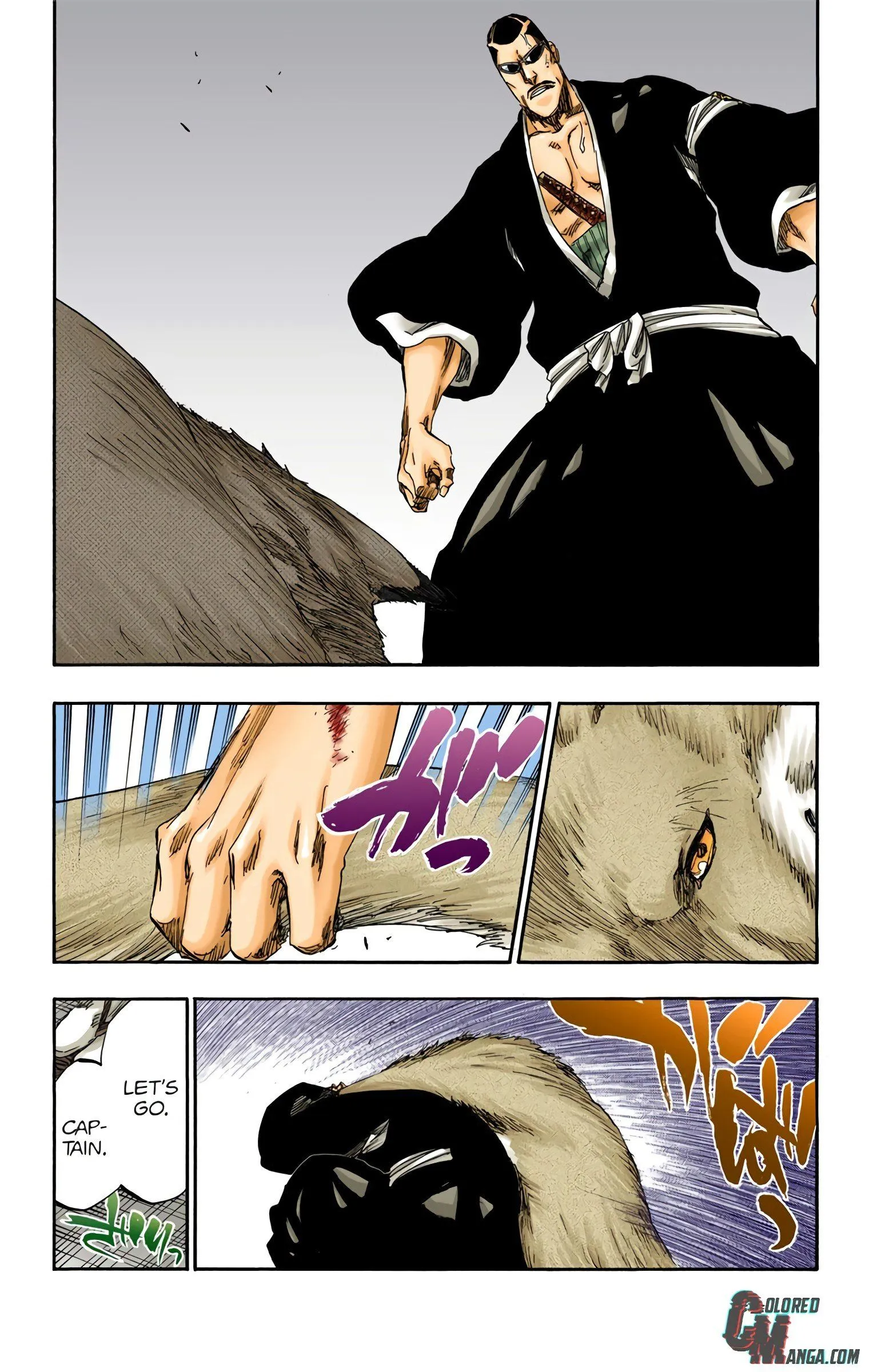 Read Bleach (Colored) EN Manga Online