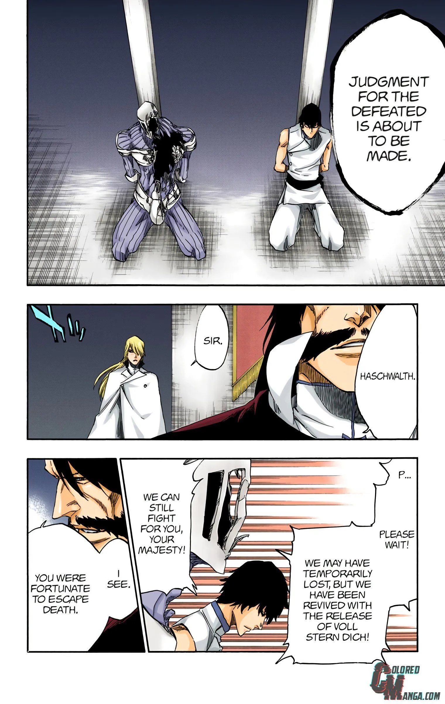 Read Bleach (Colored) EN Manga Online