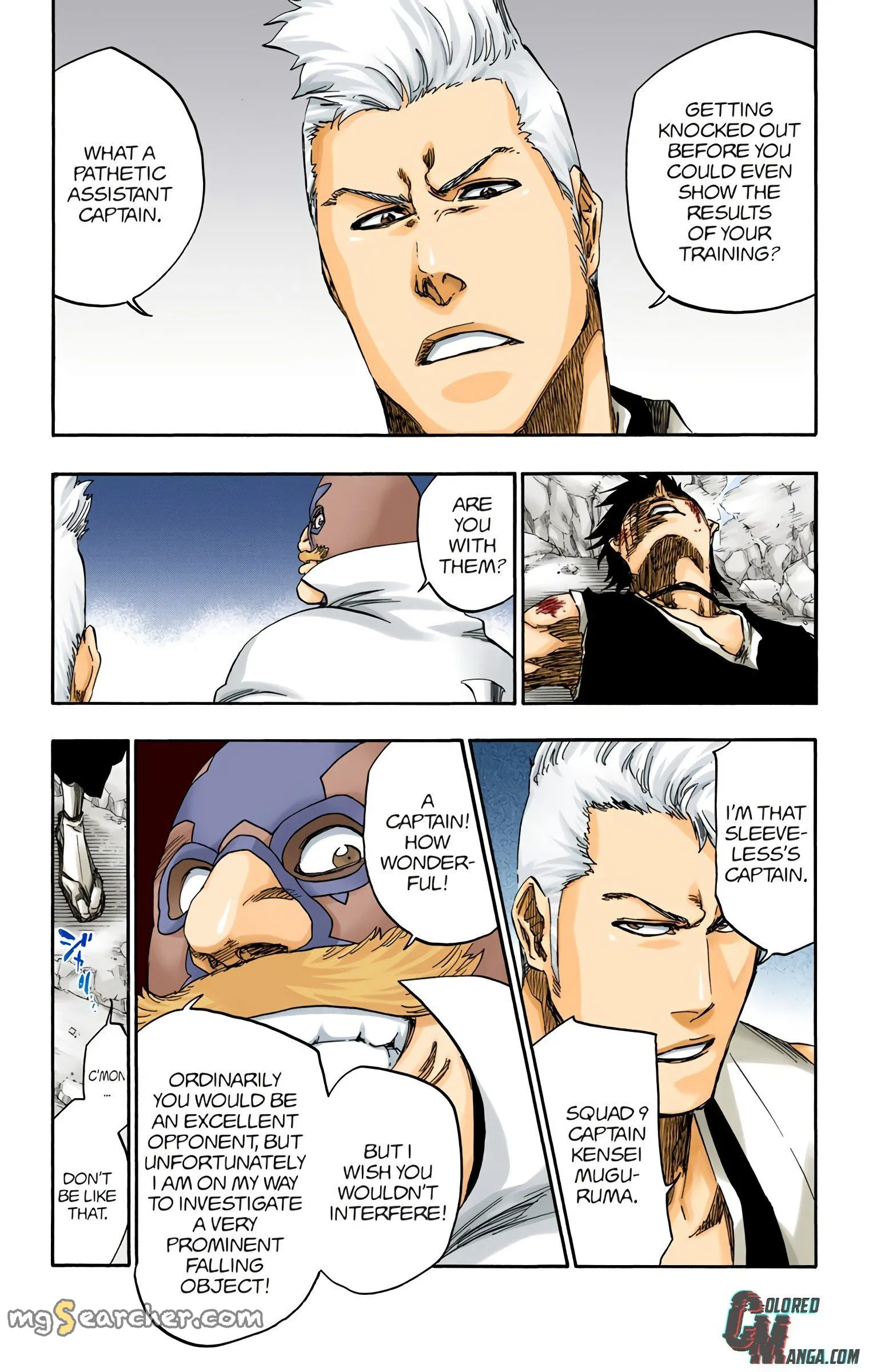 Read Bleach (Colored) EN Manga Online
