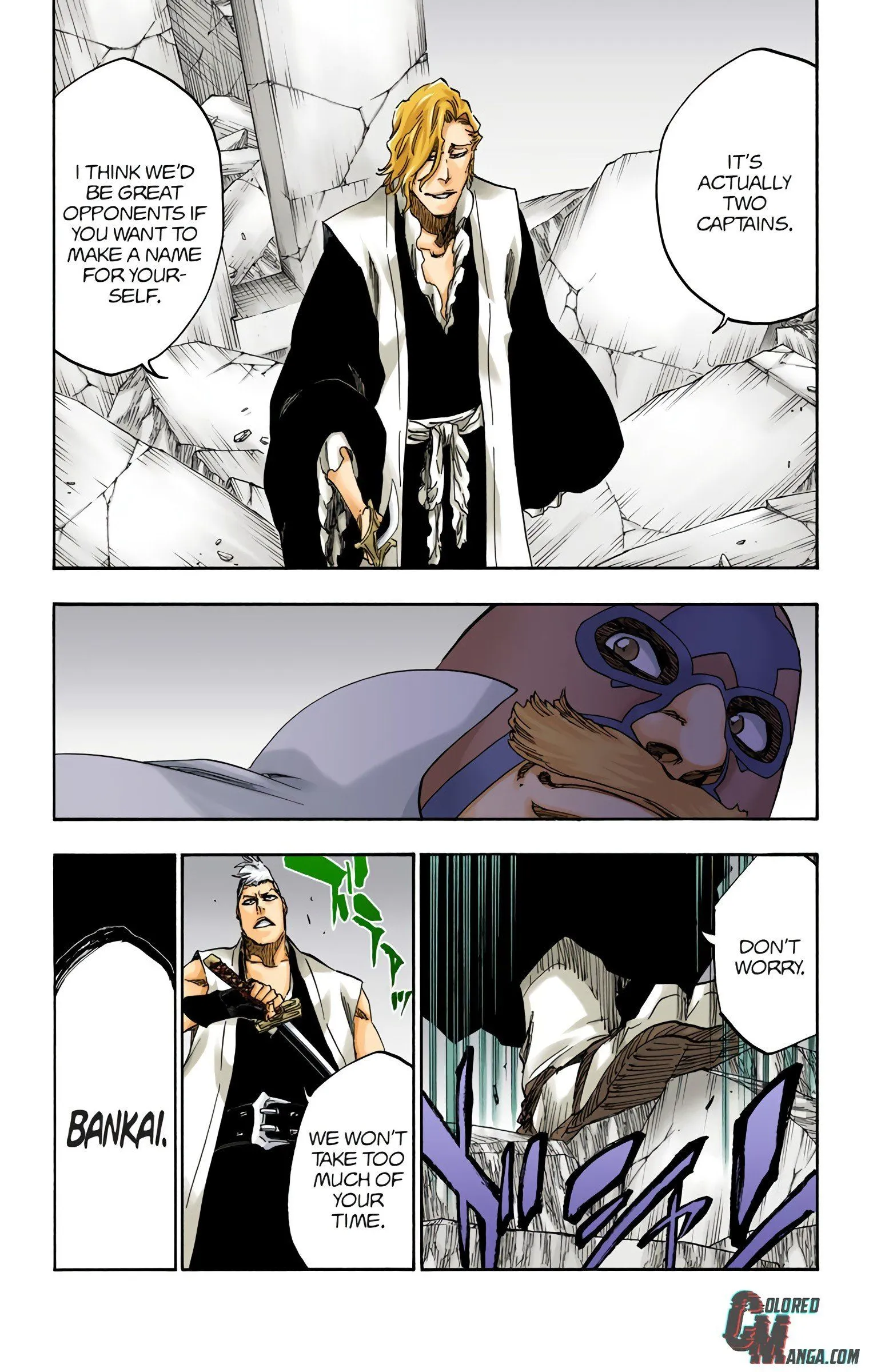 Read Bleach (Colored) EN Manga Online