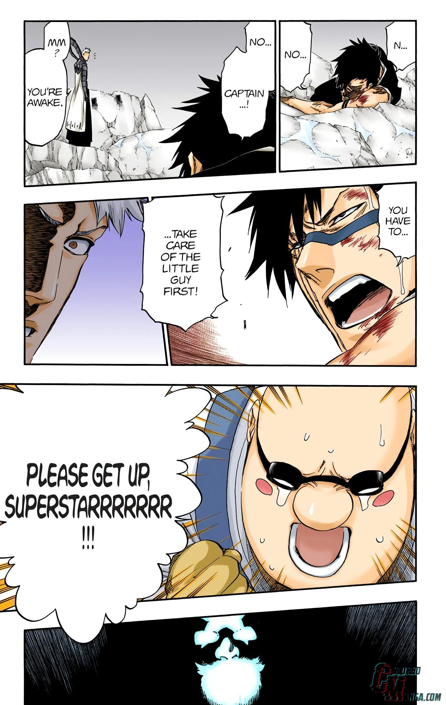 Read Bleach (Colored) EN Manga Online