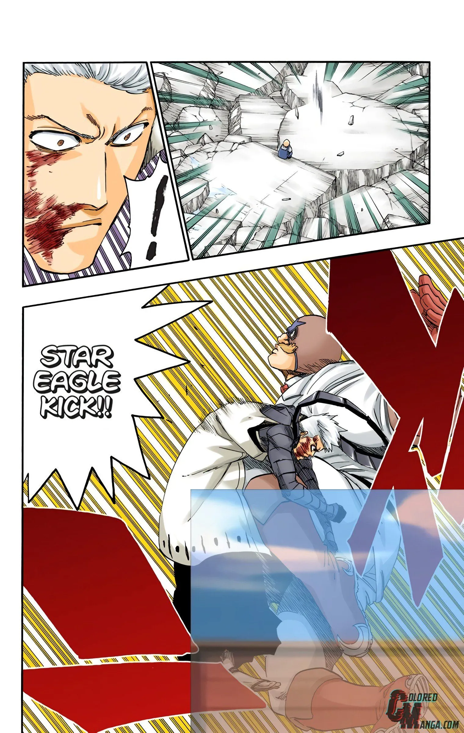 Read Bleach (Colored) EN Manga Online