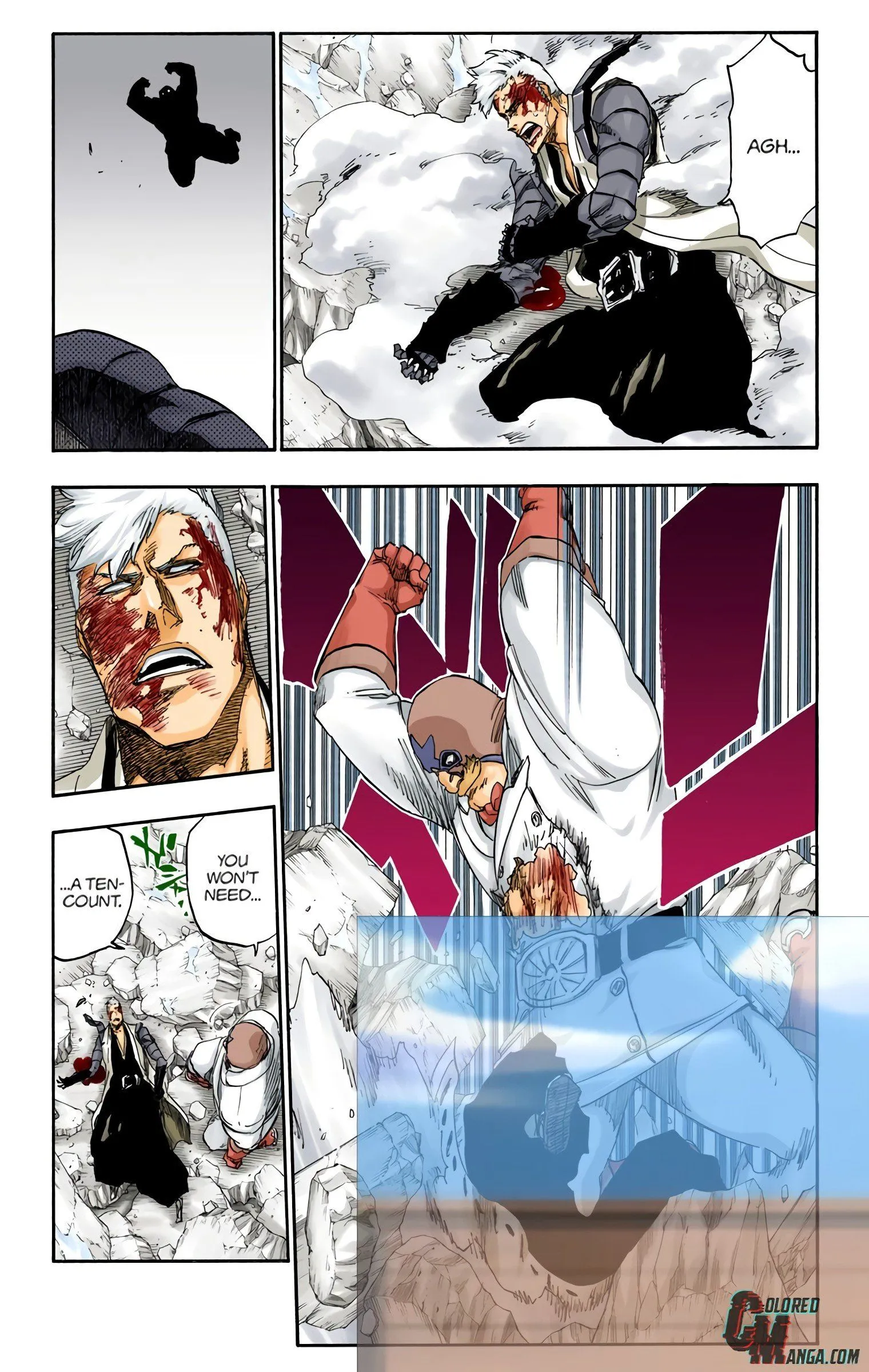 Read Bleach (Colored) EN Manga Online