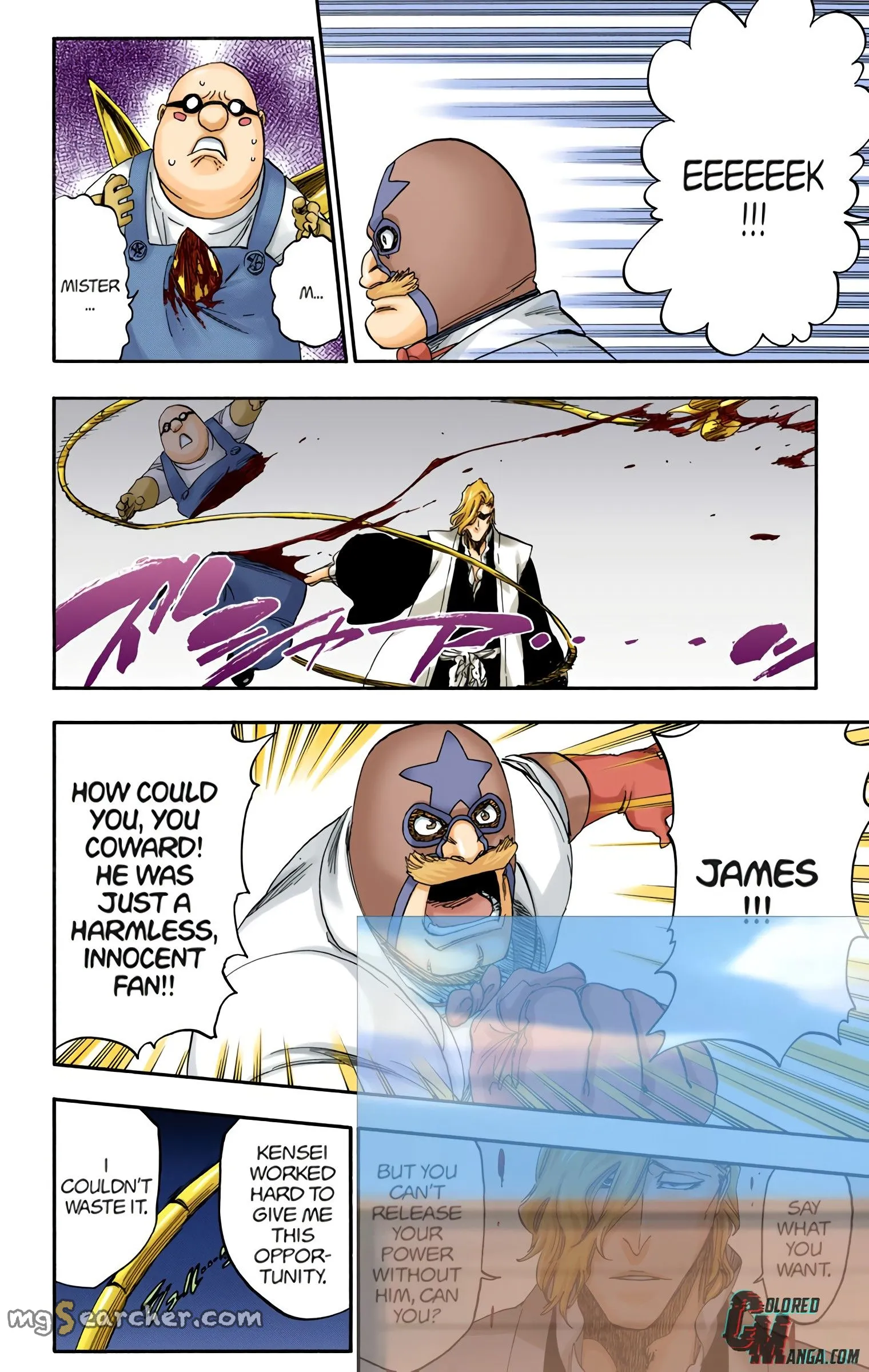Read Bleach (Colored) EN Manga Online