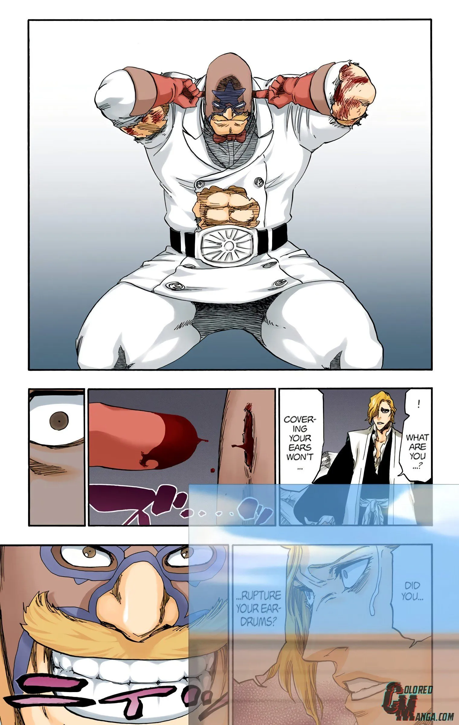 Read Bleach (Colored) EN Manga Online