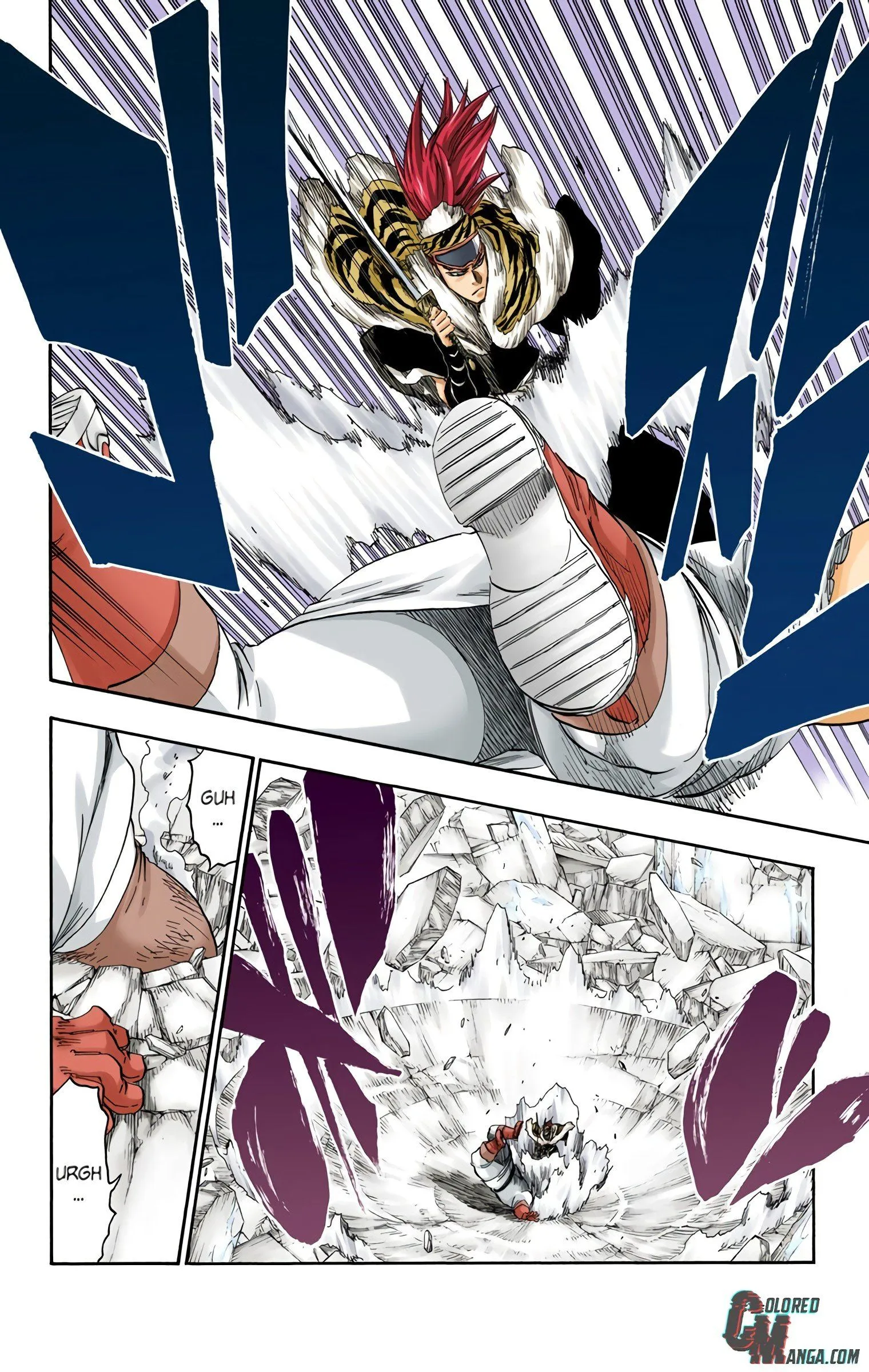 Read Bleach (Colored) EN Manga Online