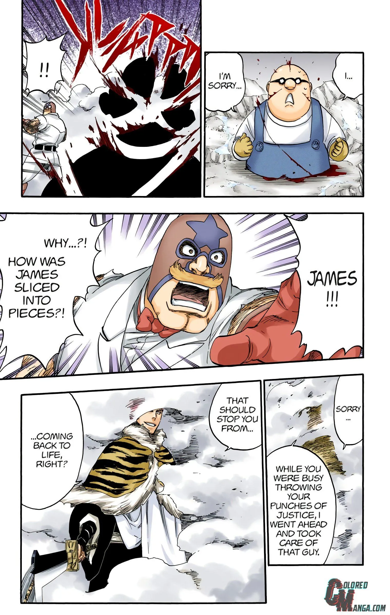 Read Bleach (Colored) EN Manga Online