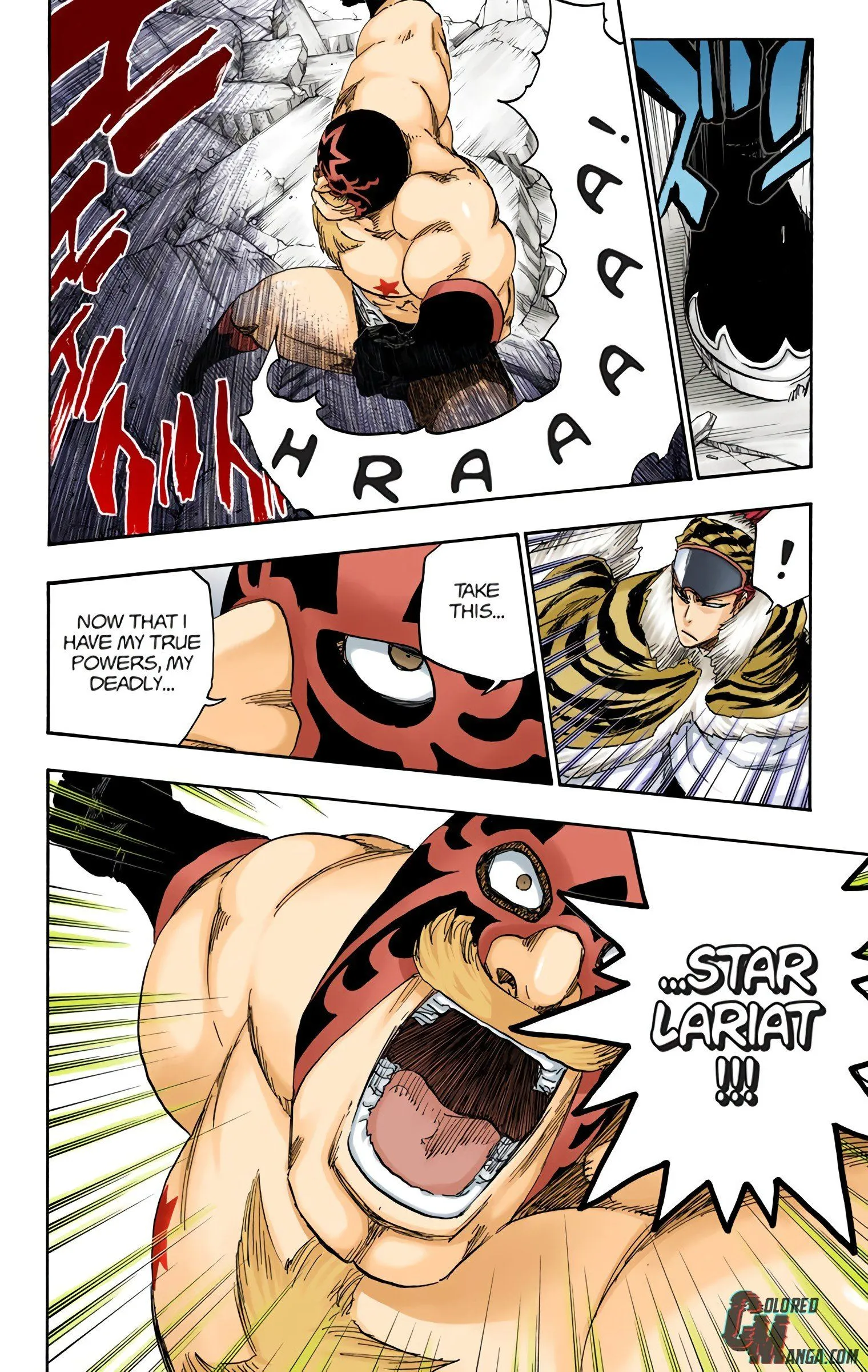 Read Bleach (Colored) EN Manga Online