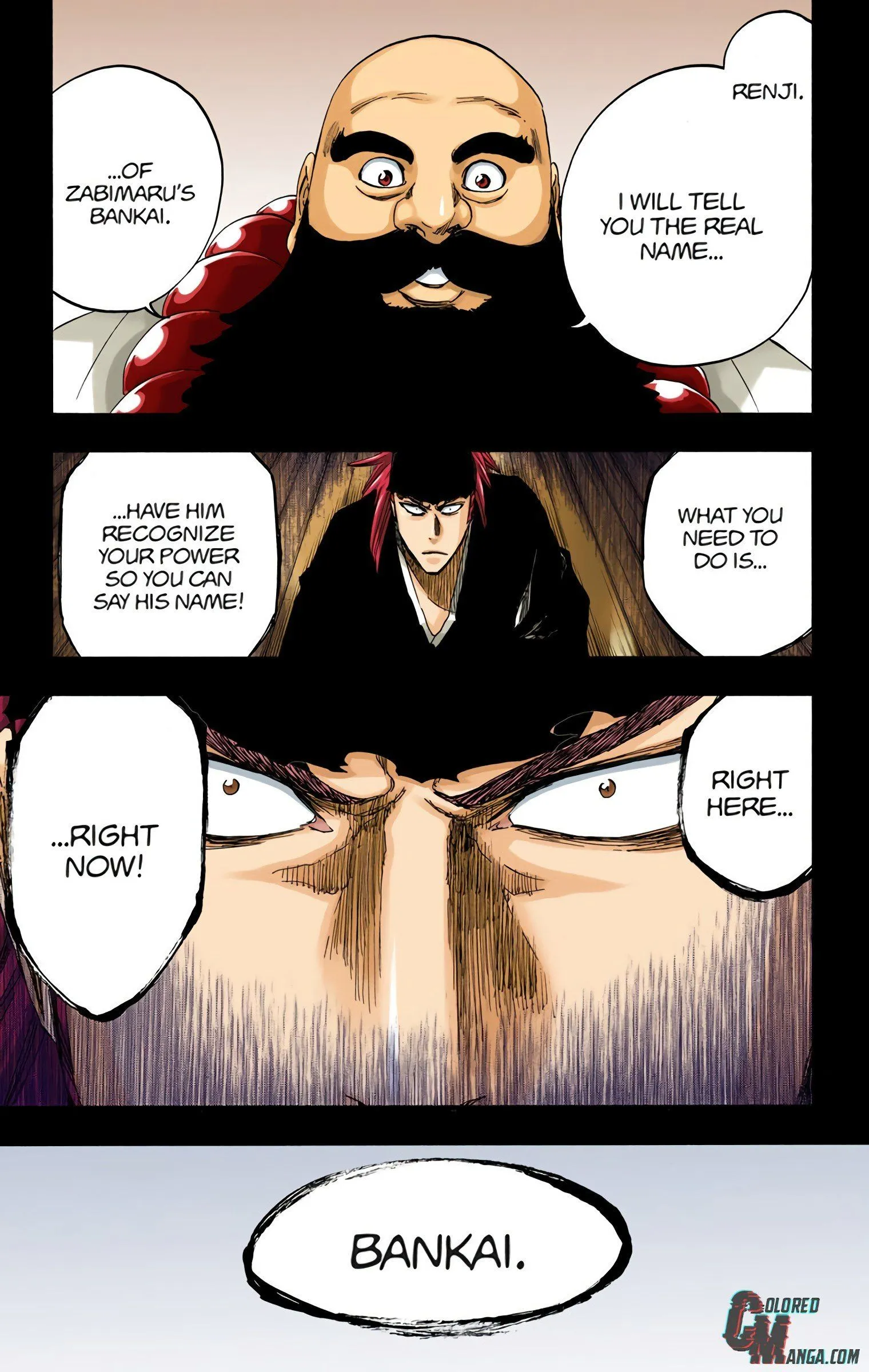 Read Bleach (Colored) EN Manga Online