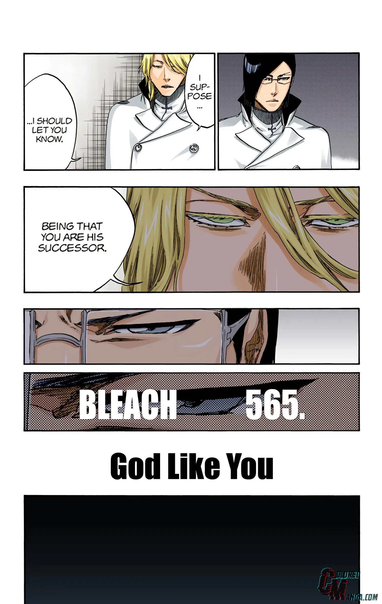 Read Bleach (Colored) EN Manga Online