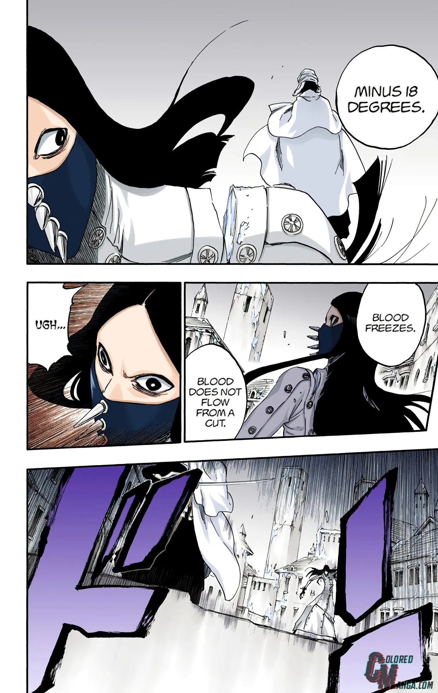 Read Bleach (Colored) EN Manga Online