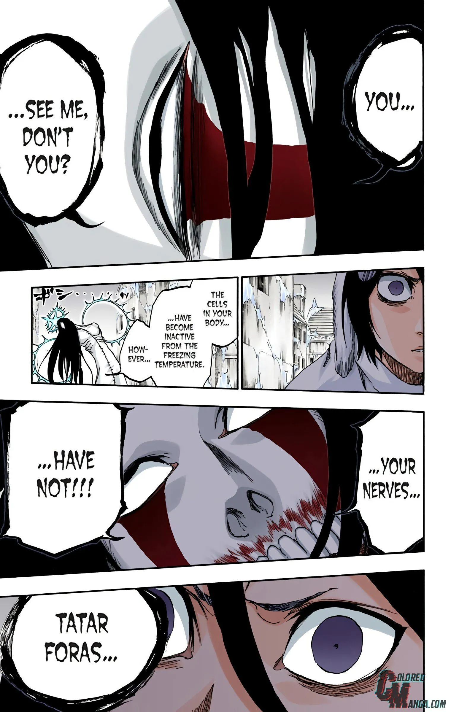 Read Bleach (Colored) EN Manga Online