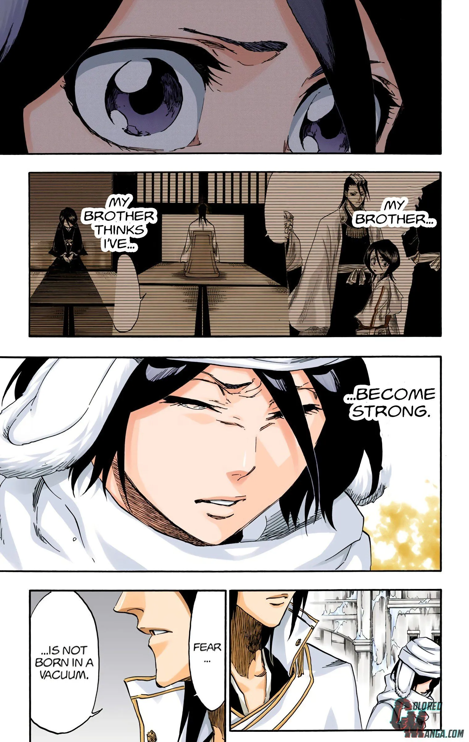 Read Bleach (Colored) EN Manga Online