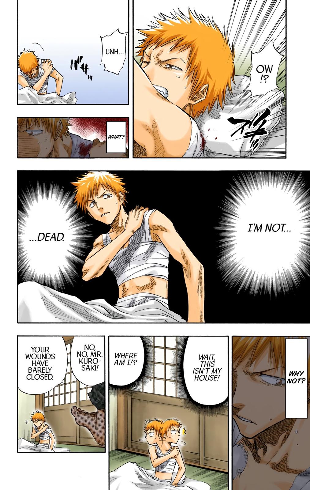Read Bleach (Colored) EN Manga Online