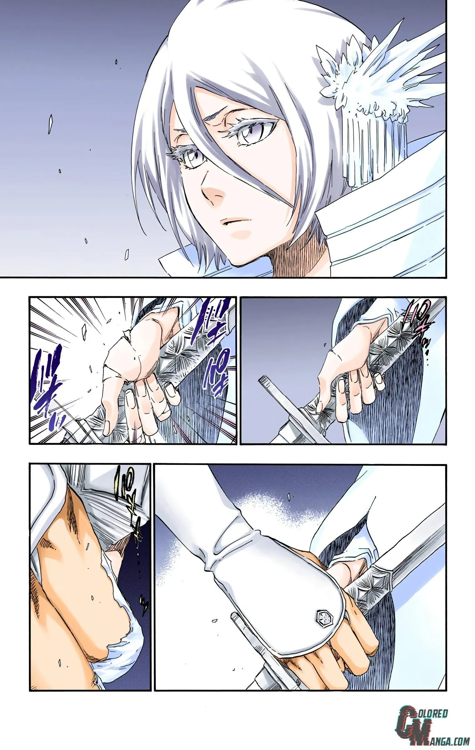 Read Bleach (Colored) EN Manga Online