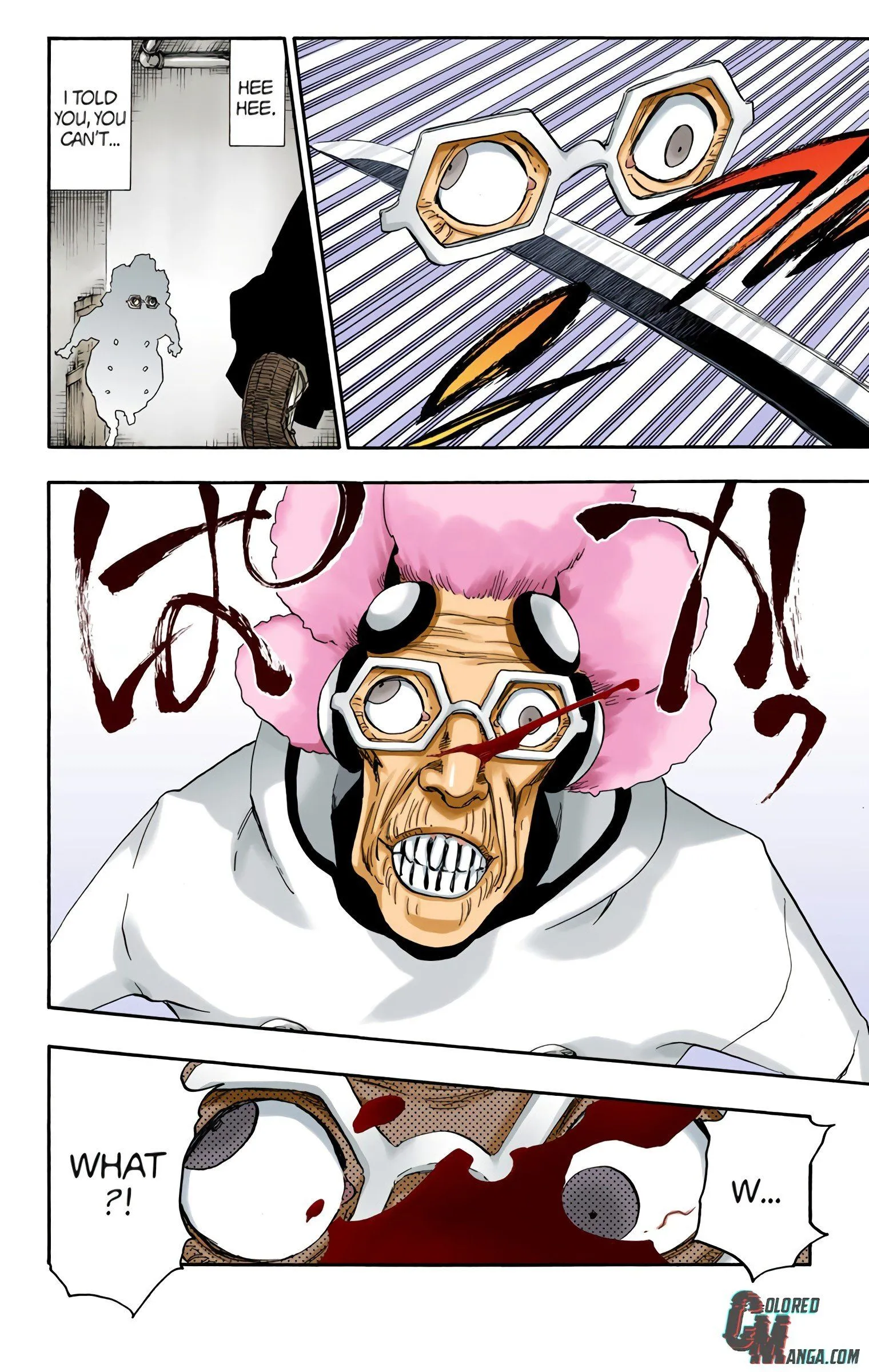 Read Bleach (Colored) EN Manga Online