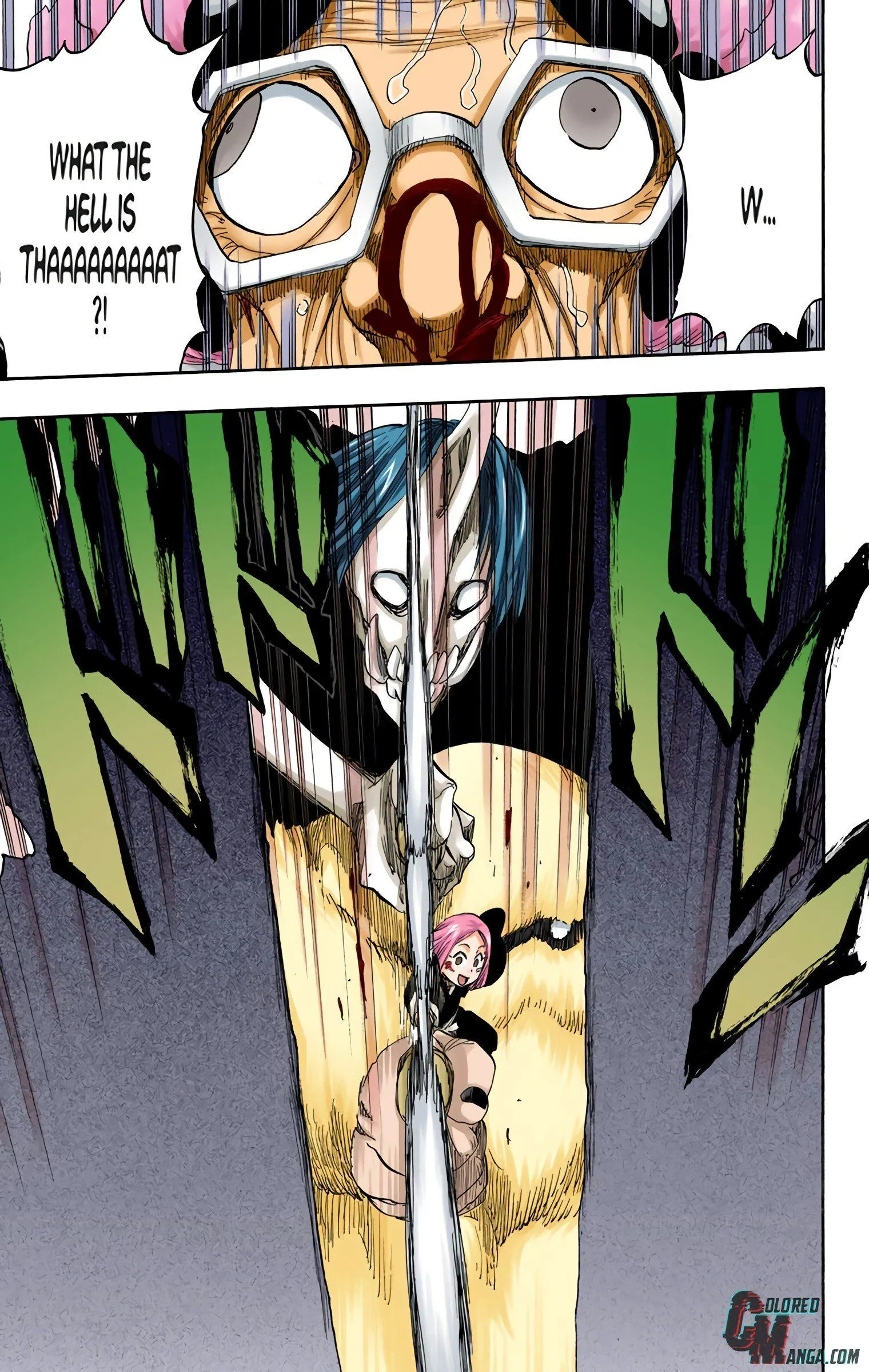 Read Bleach (Colored) EN Manga Online