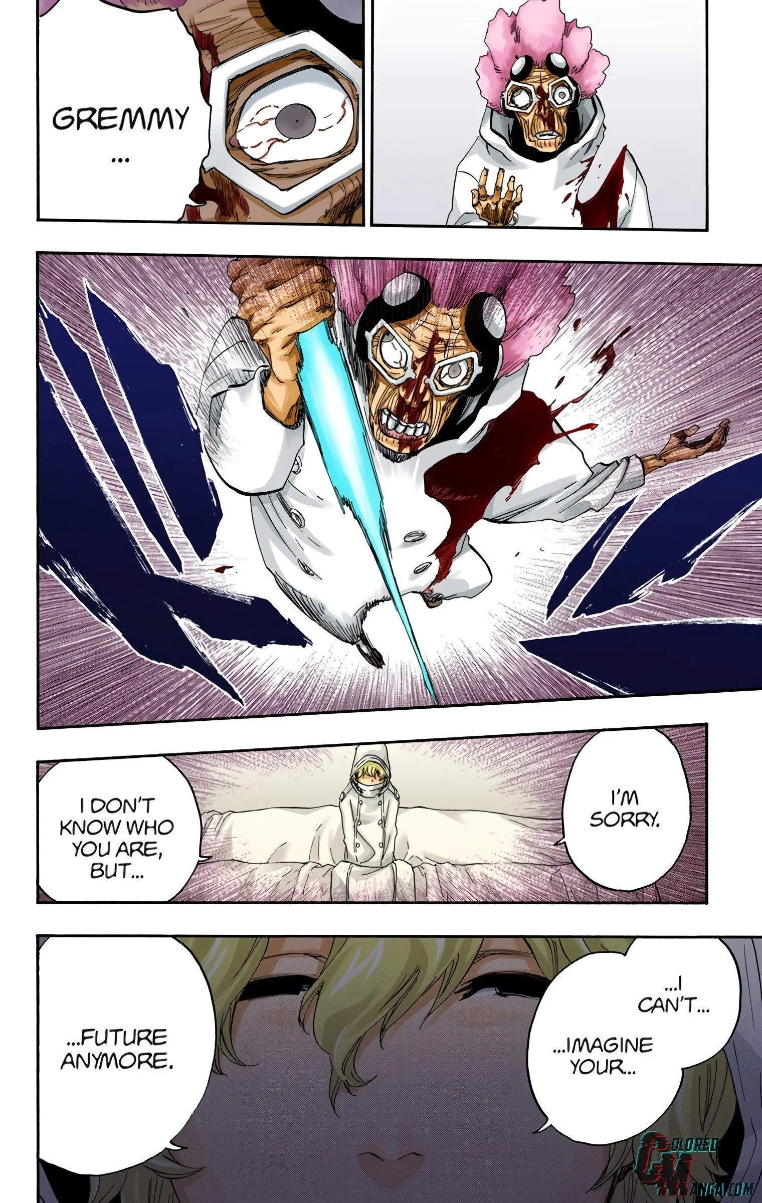 Read Bleach (Colored) EN Manga Online