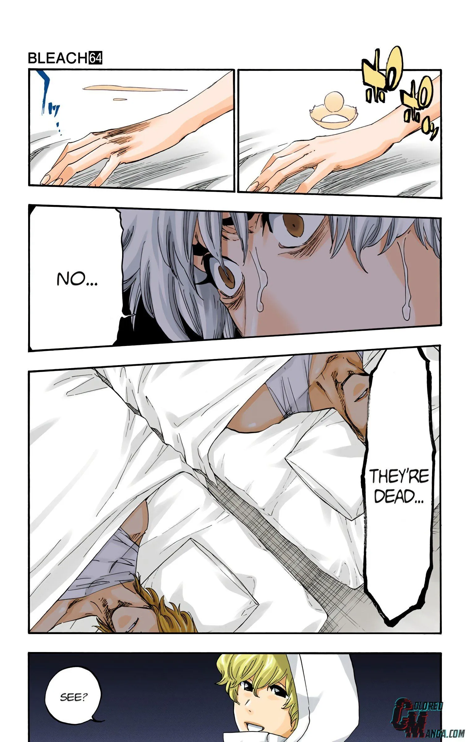 Read Bleach (Colored) EN Manga Online